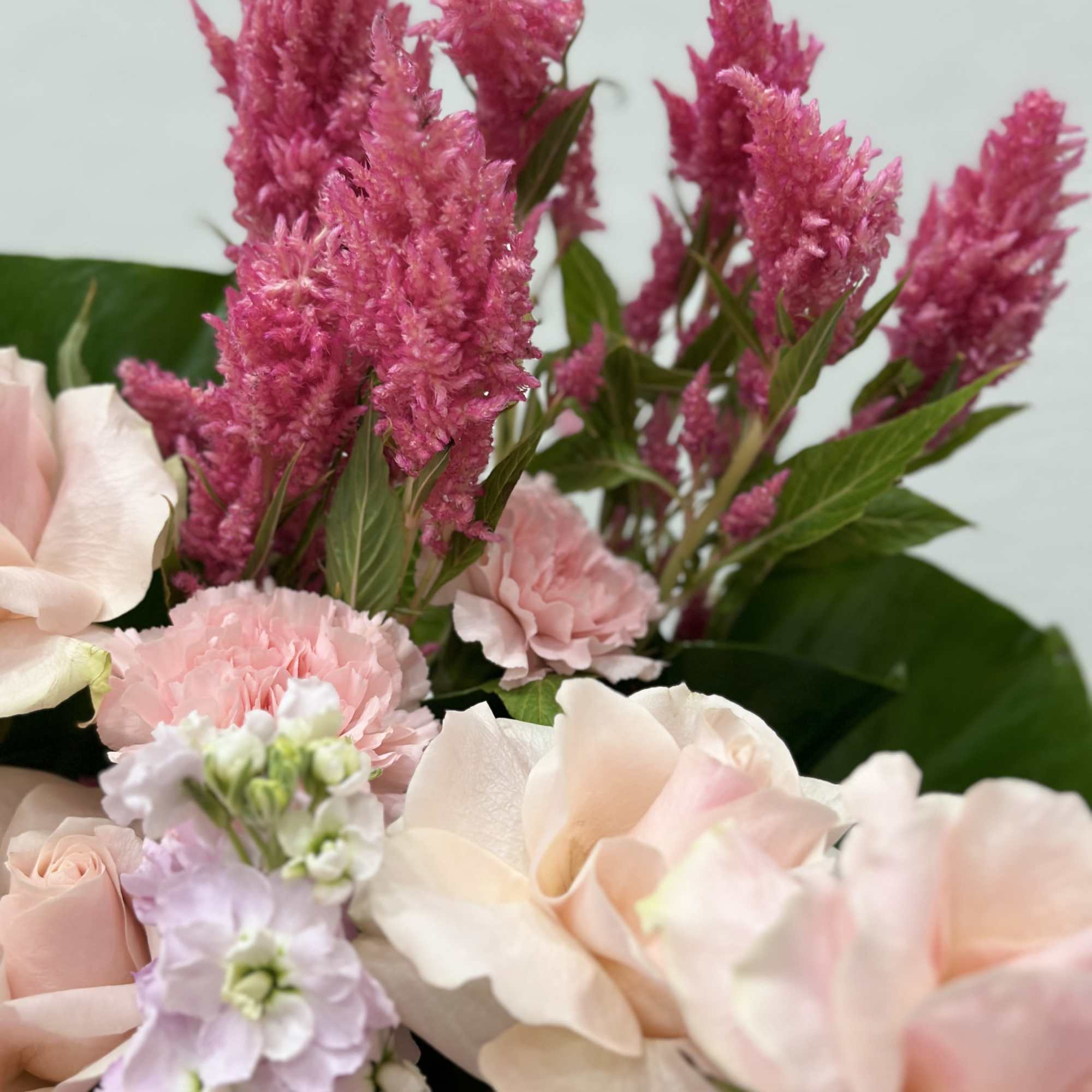 This luxurious arrangement features the timeless beauty of soft pink roses, paired