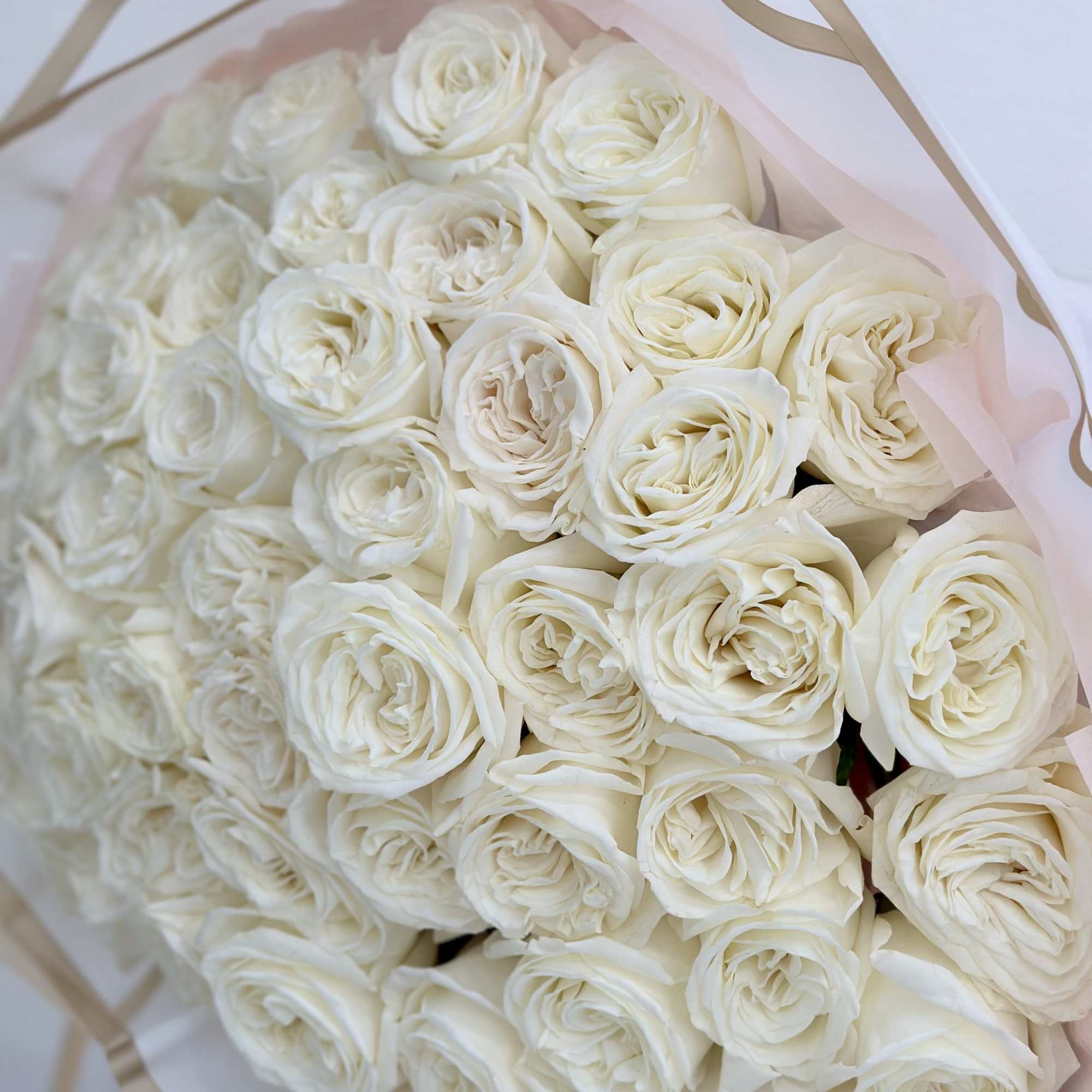 This captivating bouquet of white roses is a timeless gesture of appreciation