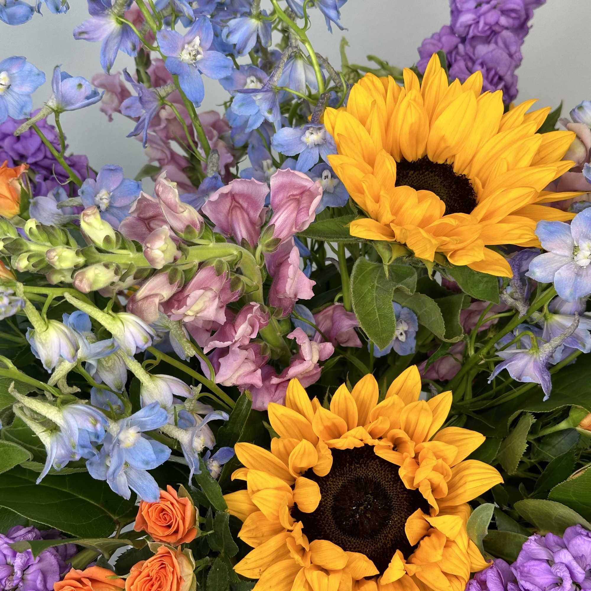 Bask in a glow of affection with Irvine Village Flowers’ full nest Bask in a glow of affection with Irvine Village Flowers’ full nest