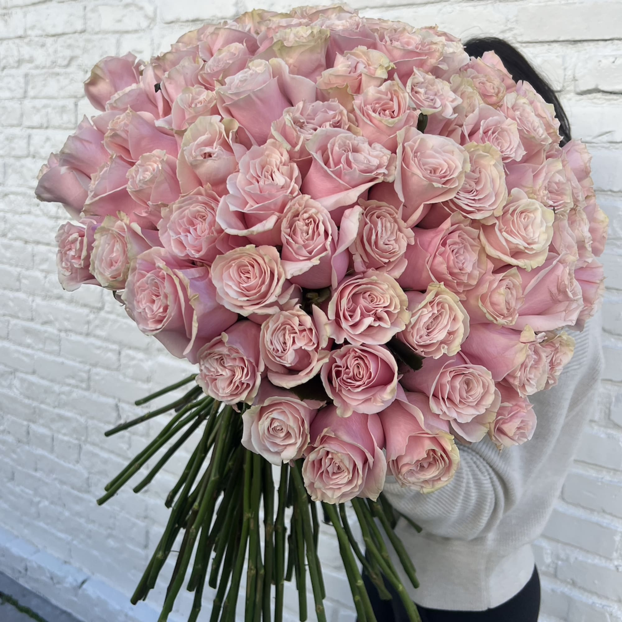Pink roses 