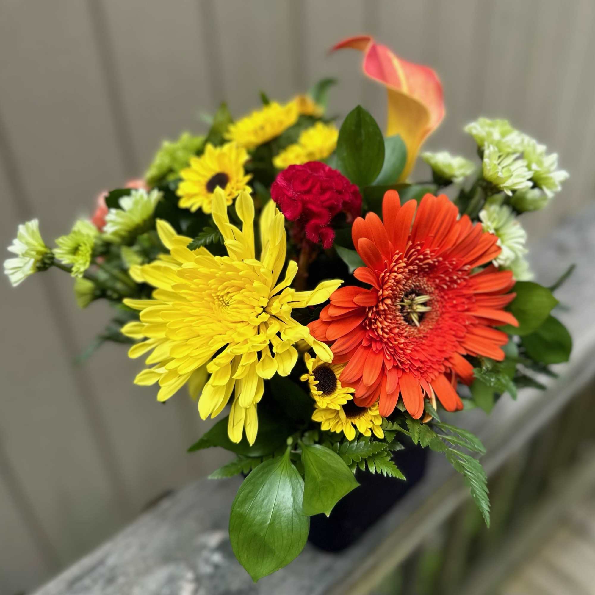 Orange gerbera, calla lily, carnations, alstromeria, yellow poms, green daisies and hydrangea