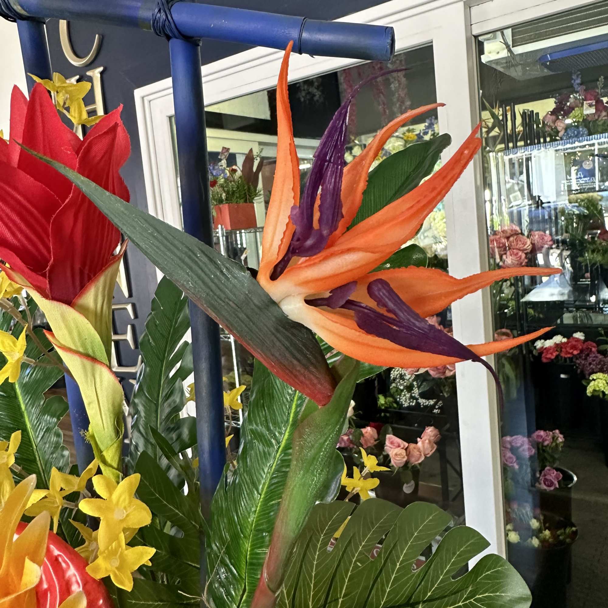 Beautiful exotics that last forever! Ultra realistic. Look like real!