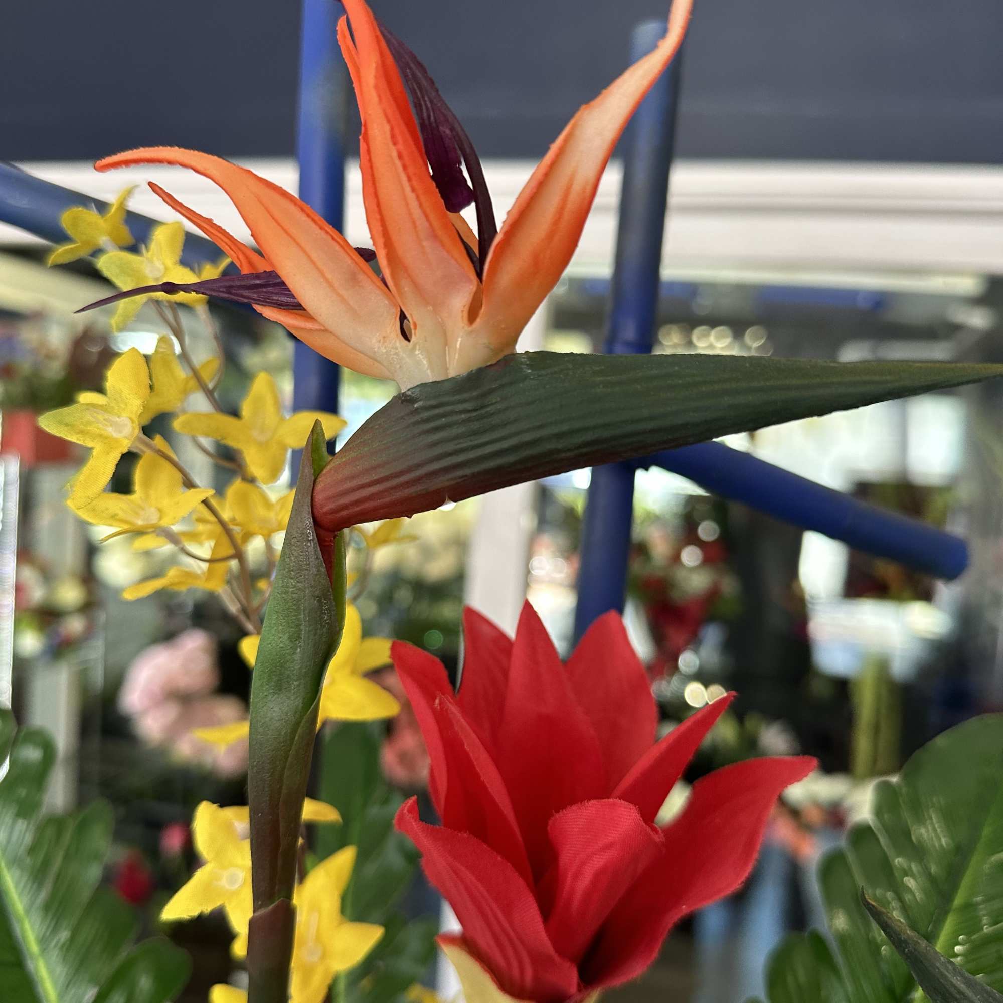 Beautiful exotics that last forever! Ultra realistic. Look like real!