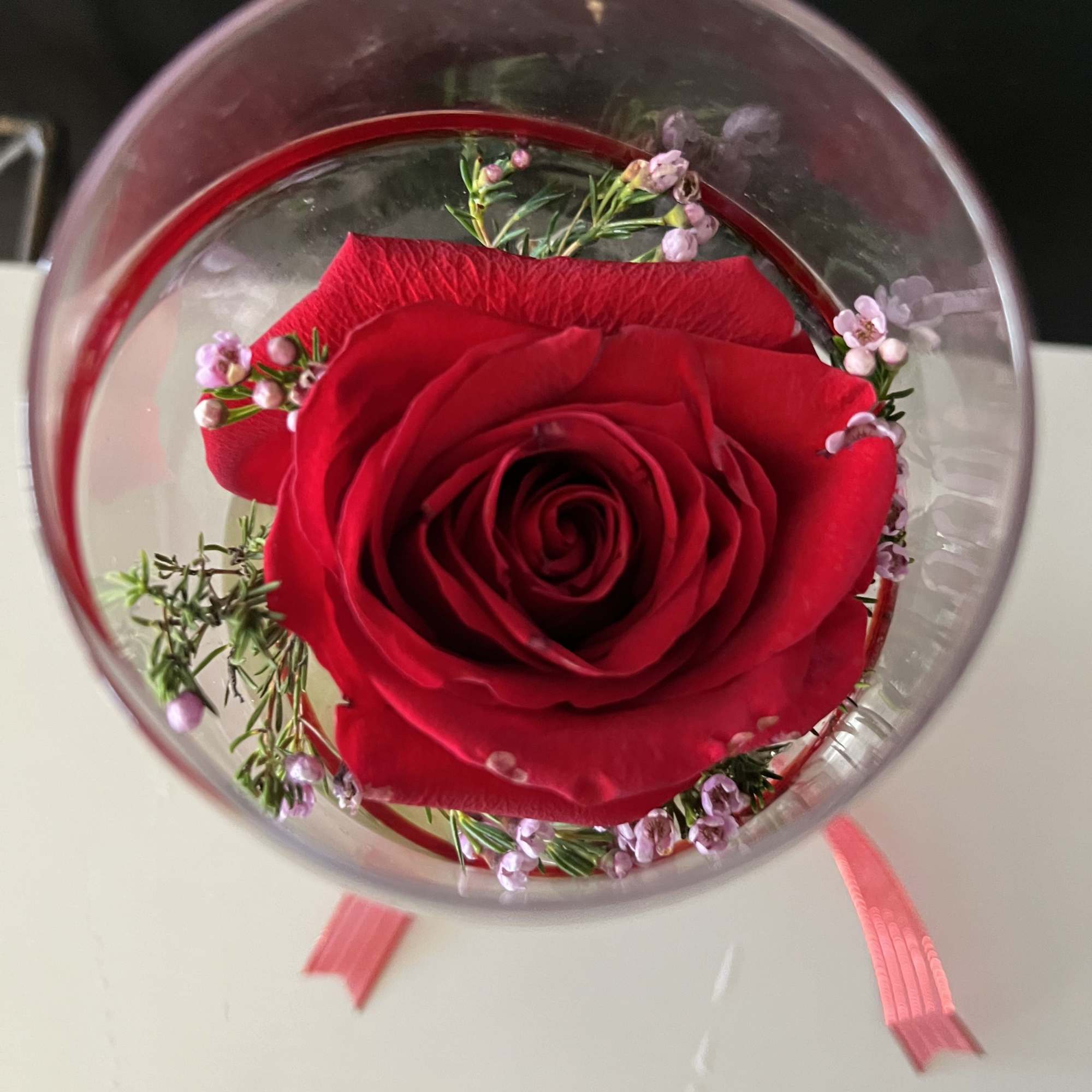 fresh red rose in wine vase 