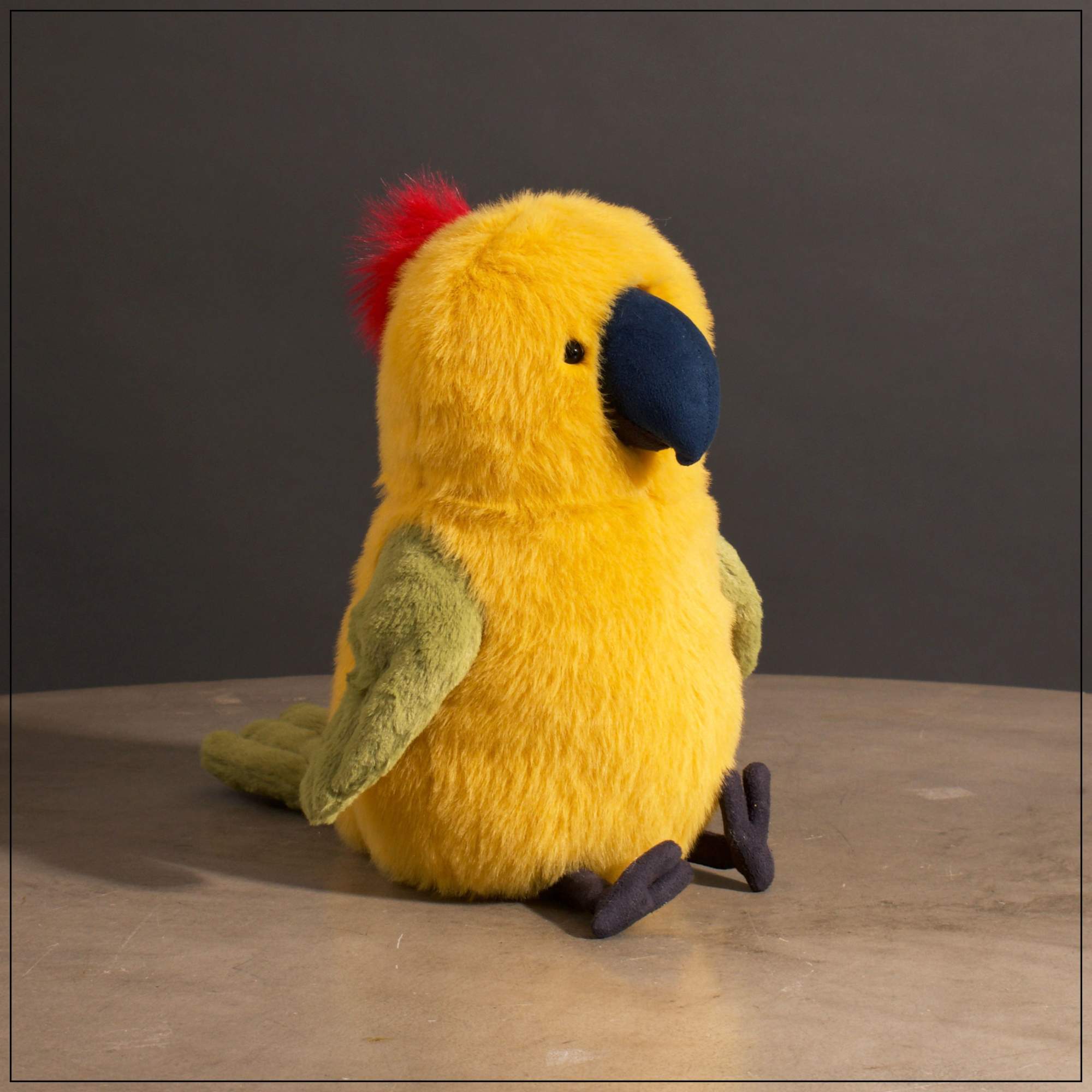  ジェリーキャット トリ Budgeby Parrot Budgeby Parrot in Kansas City, MO | Fiddly Fig