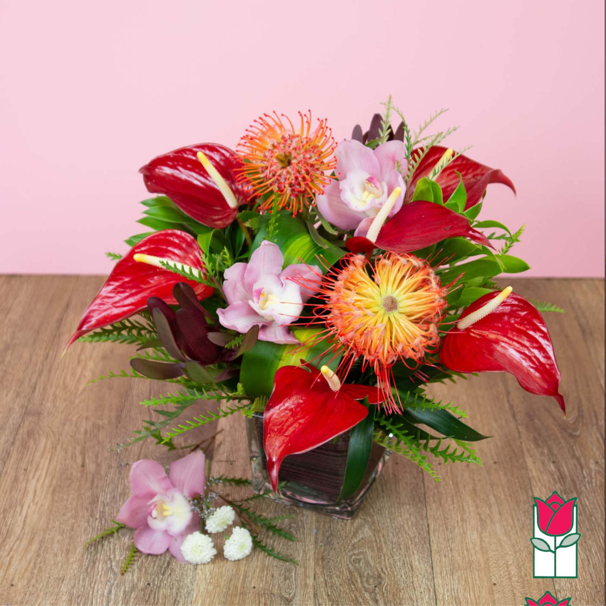 Approx. size: 10&quot; High x 10&quot; Wide
Size category: Compact Size, perfect for