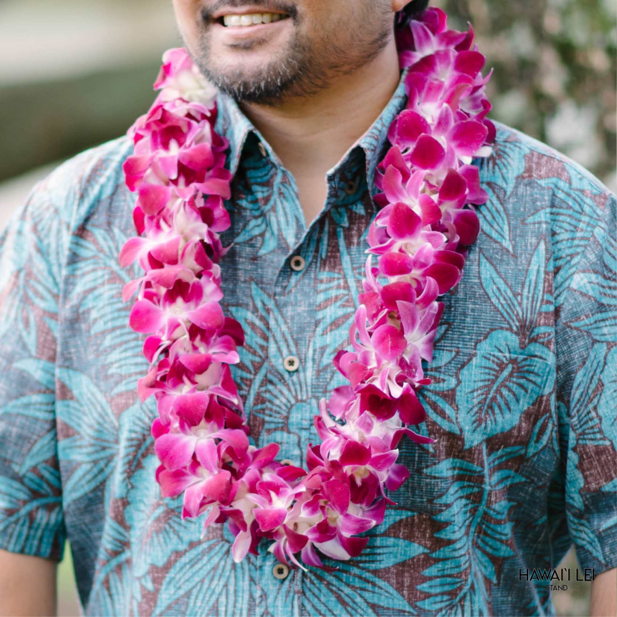 Just the thing for any and every special occasion, our double dendrobium