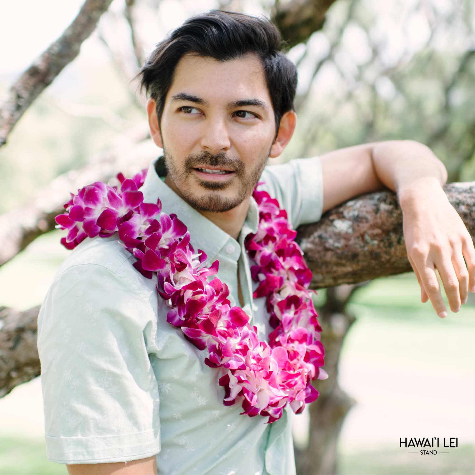 Just the thing for any and every special occasion, our double dendrobium