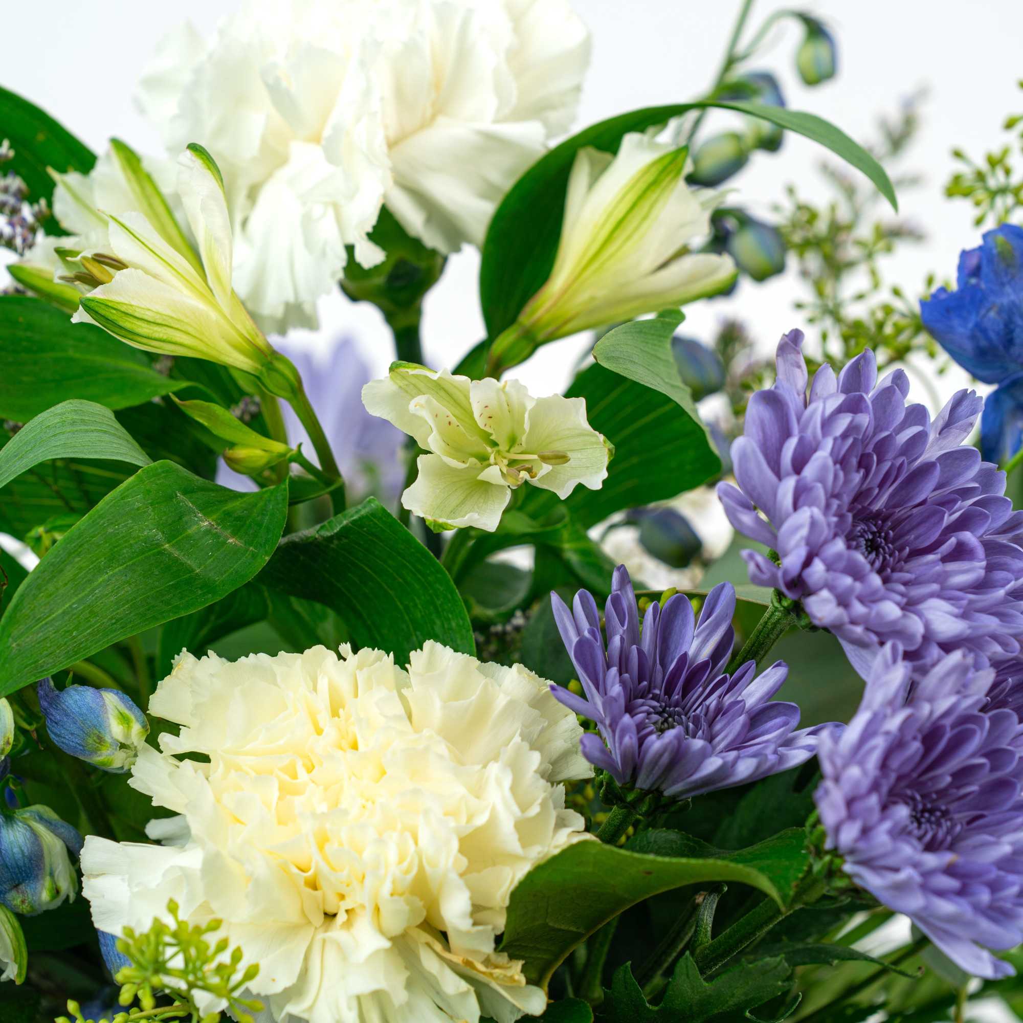 Our Blooming Birthday Wishes Collection celebrates birthdays with bright blooms in cheerful