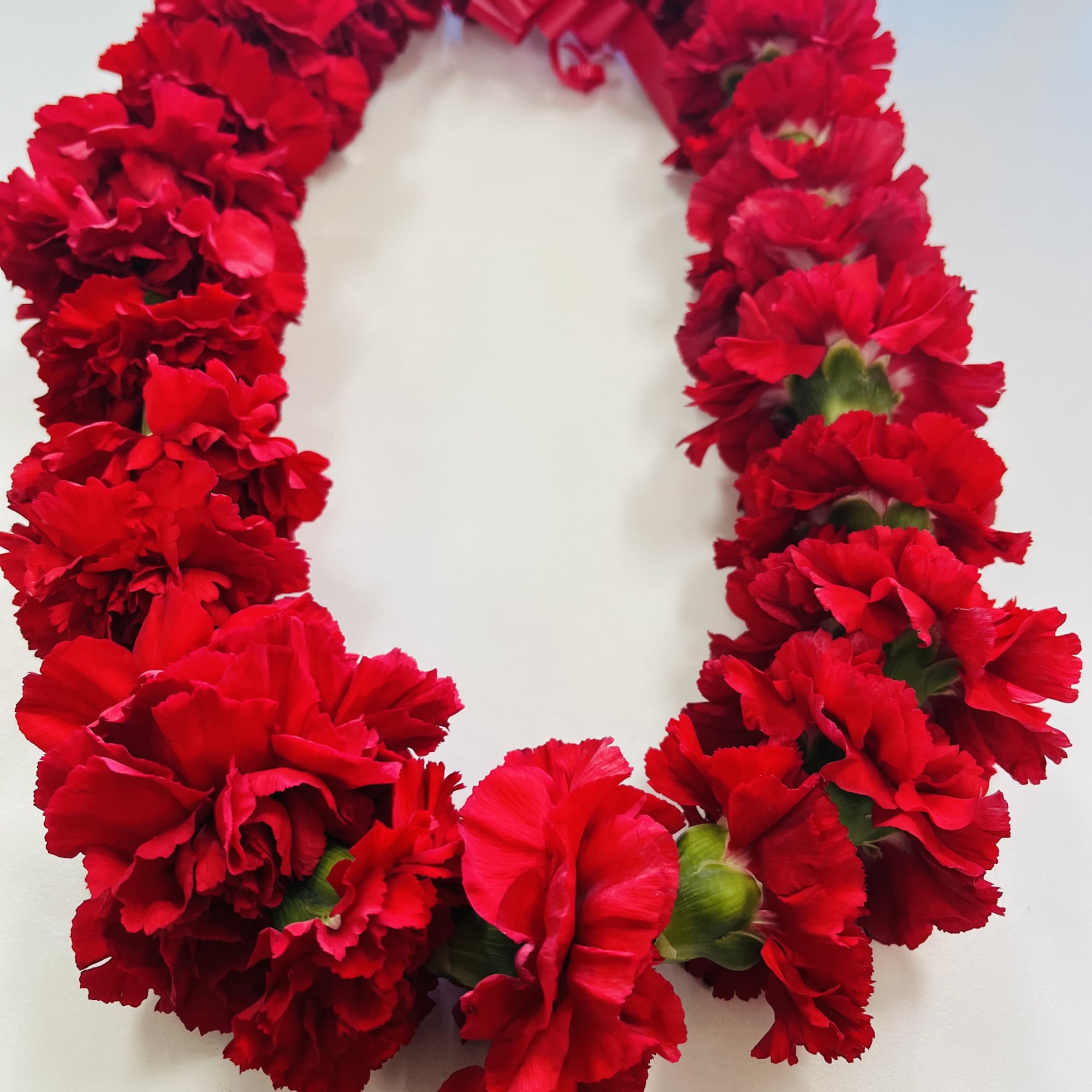 Fresh Carnation Flower Lei shows aloha, royalty, love, and beauty. It naturally