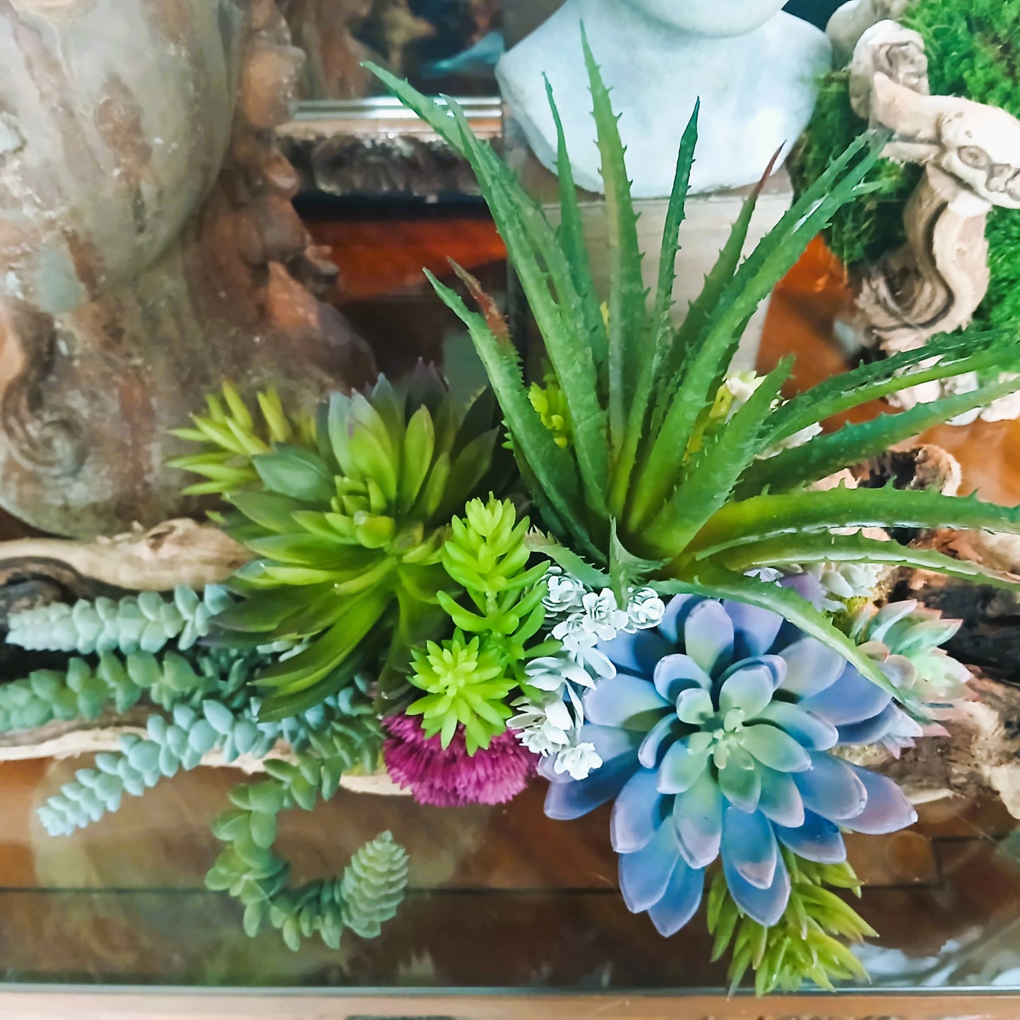 Permanent succulent medley nestled in a grape wood log.
Indicate Design 1 or