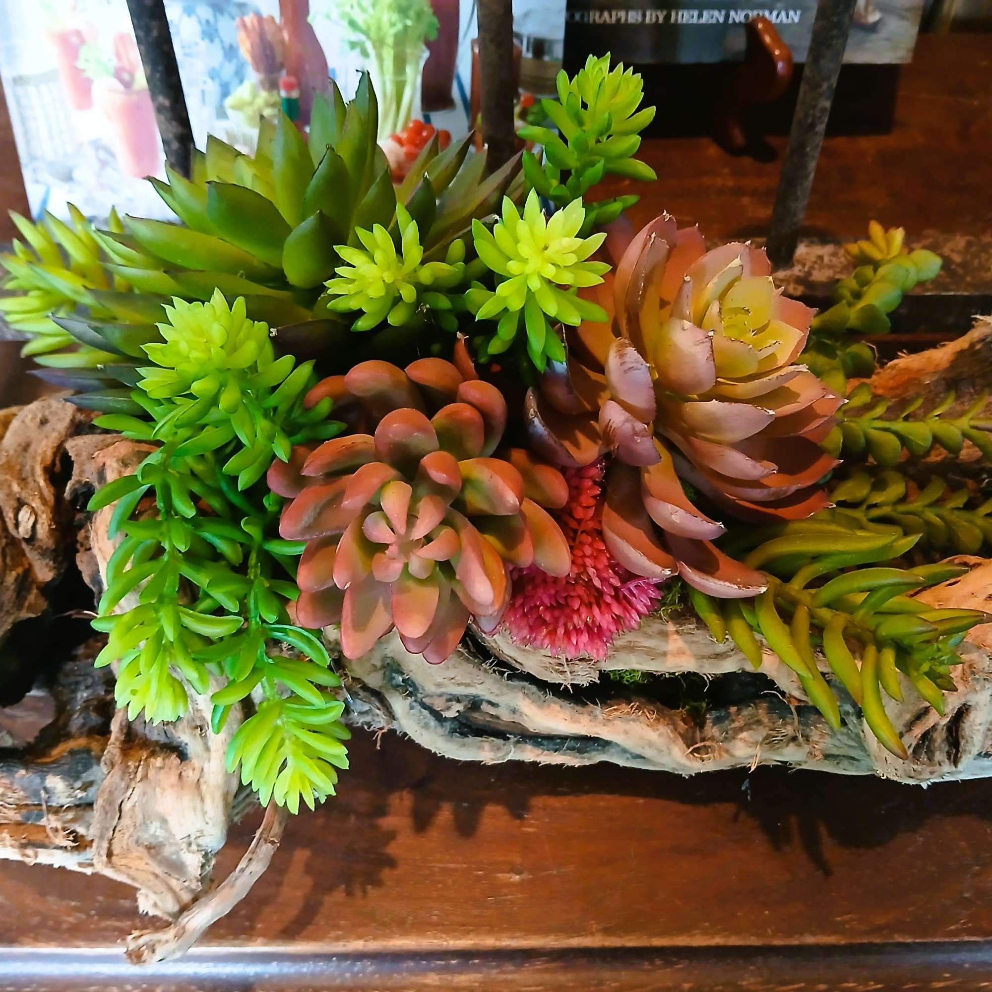 Permanent succulent medley nestled in a grape wood log.
Indicate Design 1 or