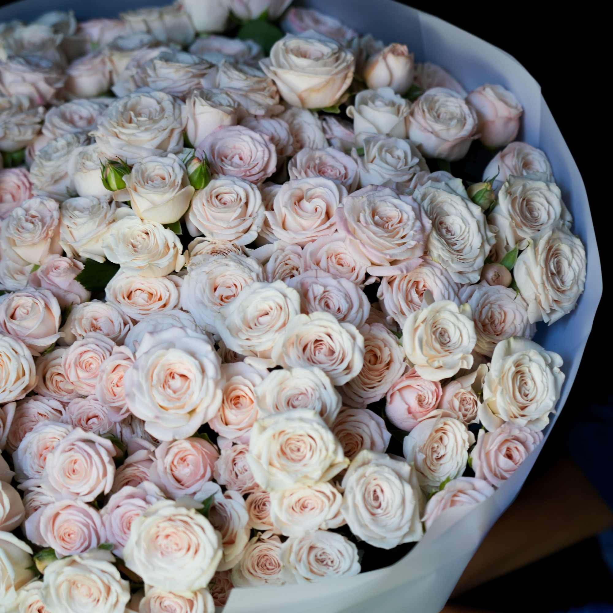 Fifty Shades of White is the definition of timeless elegance. This breathtaking