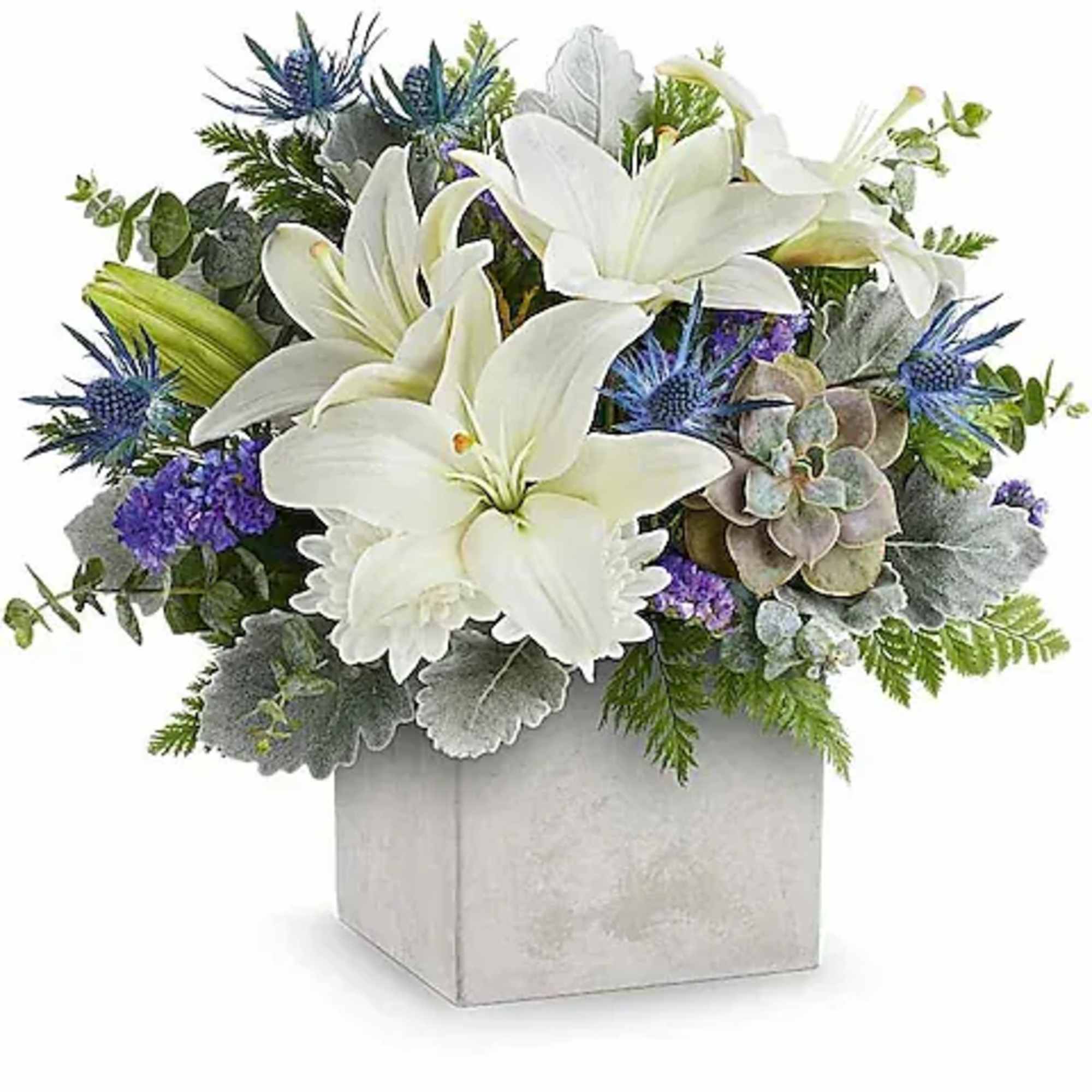 Sleek yet sweet! This stylish arrangement pairs a sculptural succulent with delicate