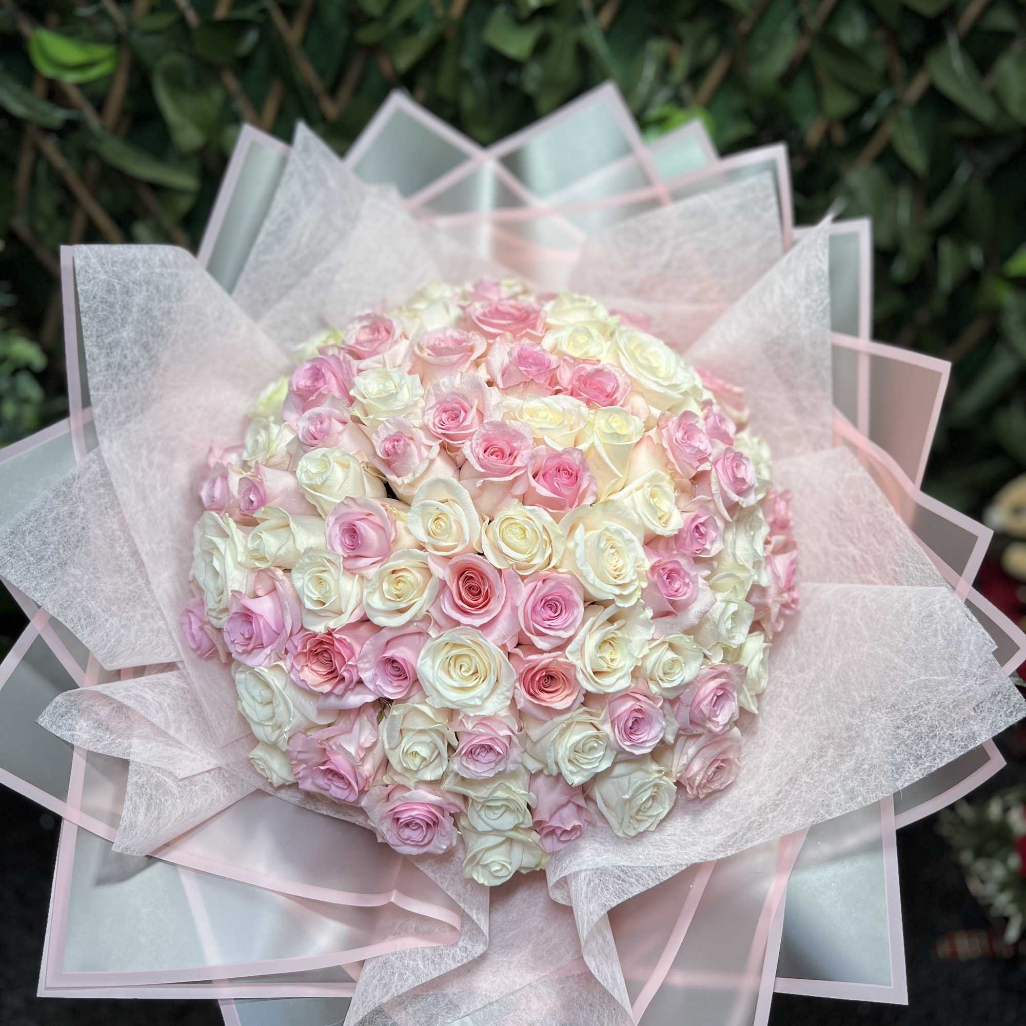 Luxury pale pink and creamy white roses bouquet wrapped with elegant Korean