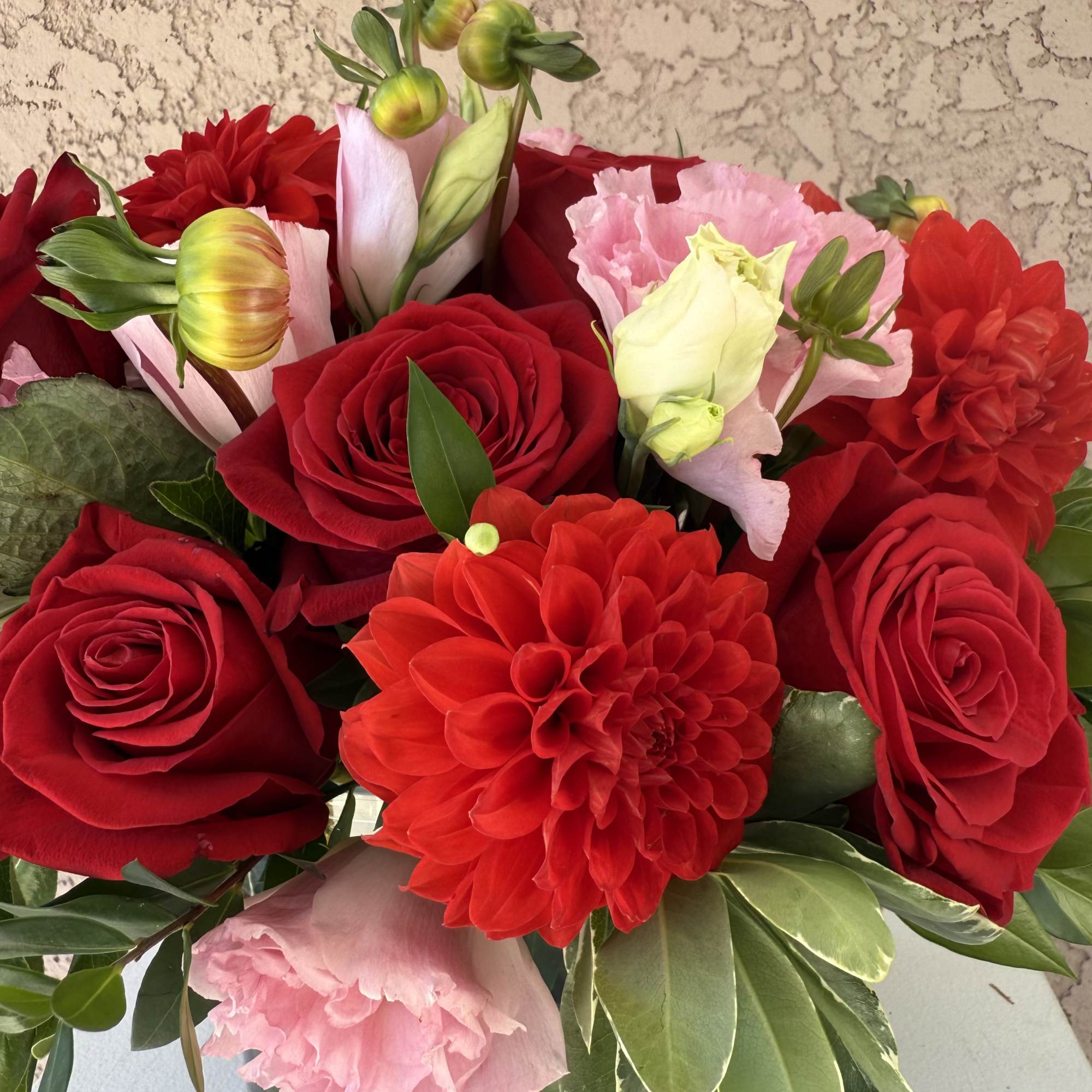 Lush, vibrant, and deeply romantic — Velvet Bloom features a bold mix Lush, vibrant, and deeply romantic — Velvet Bloom features a bold mix
