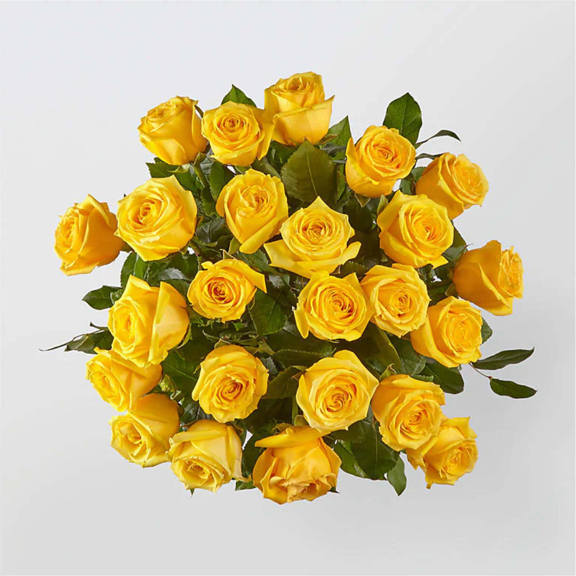 24 Yellow Roses Deluxe
All Occasion
Clear Glass
Place your Order Online Monday to Saturday