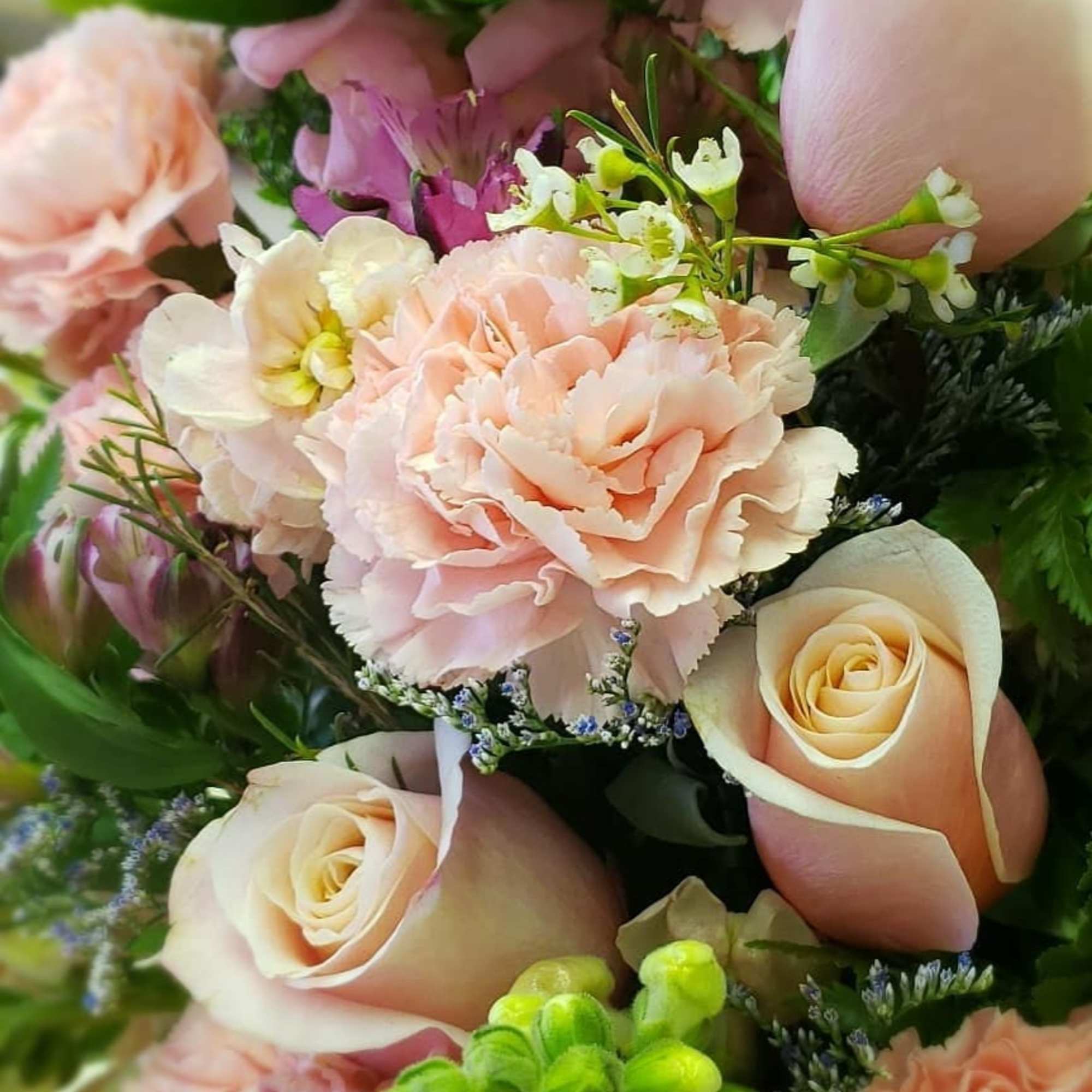 Pick a peck of fresh blooms to brighten any day! Pink snapdragons Pick a peck of fresh blooms to brighten any day! Pink snapdragons