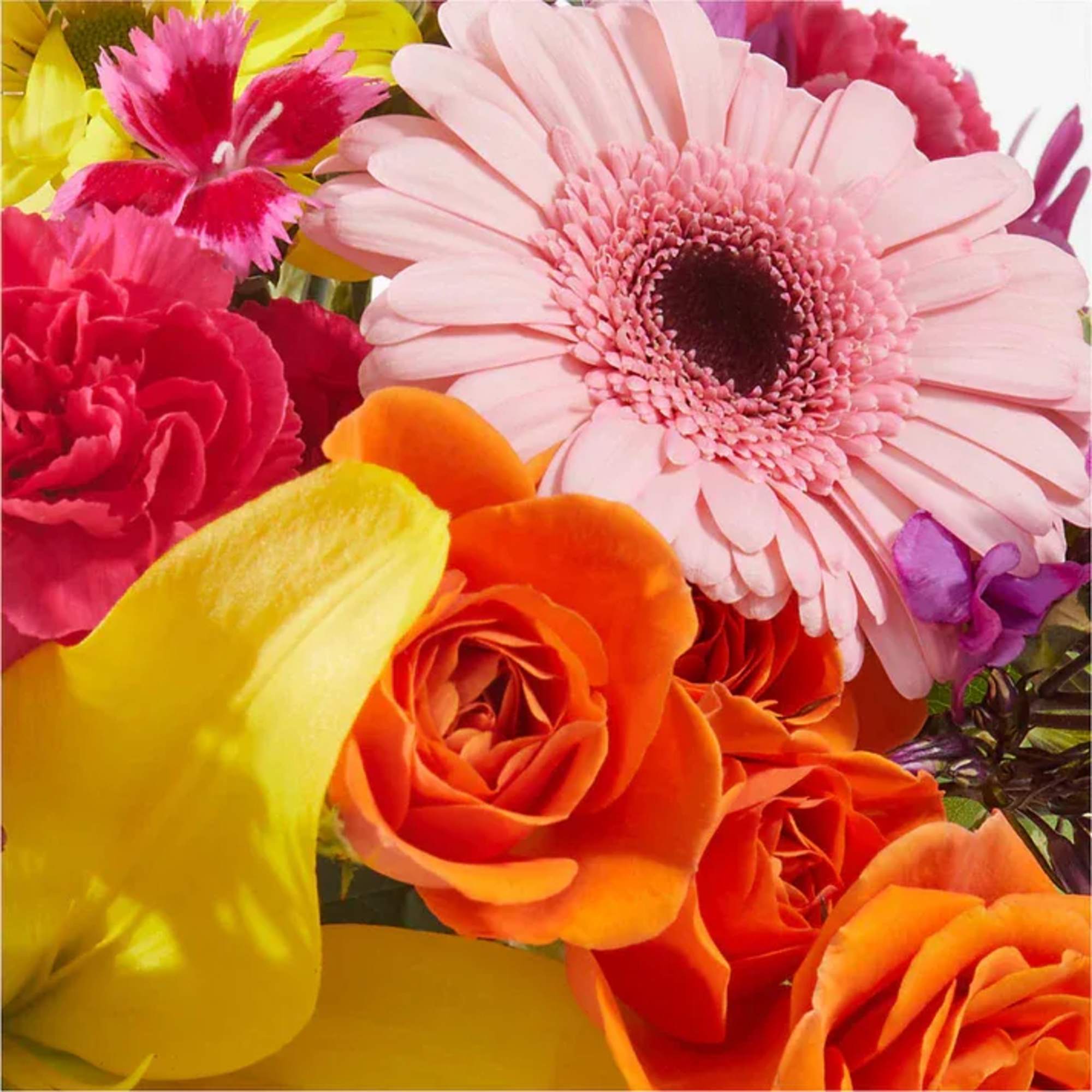 Make their birthday the best one yet with this colorful gift. Our