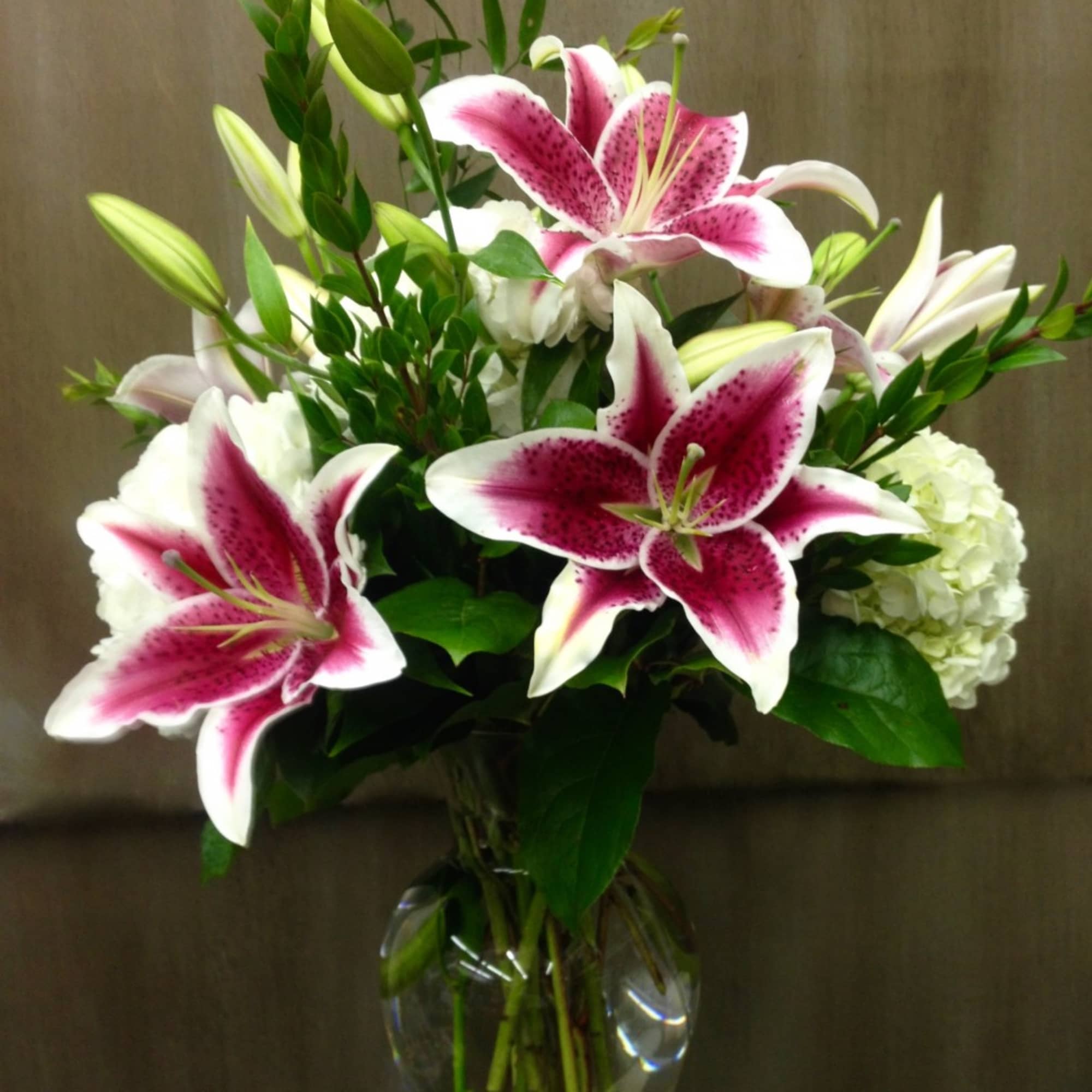 mamoco！BEAQUE MEDI CHOUPRO STARGAZER LILY BOQUET NEW-A105by Newton's Greenhouse and Florist