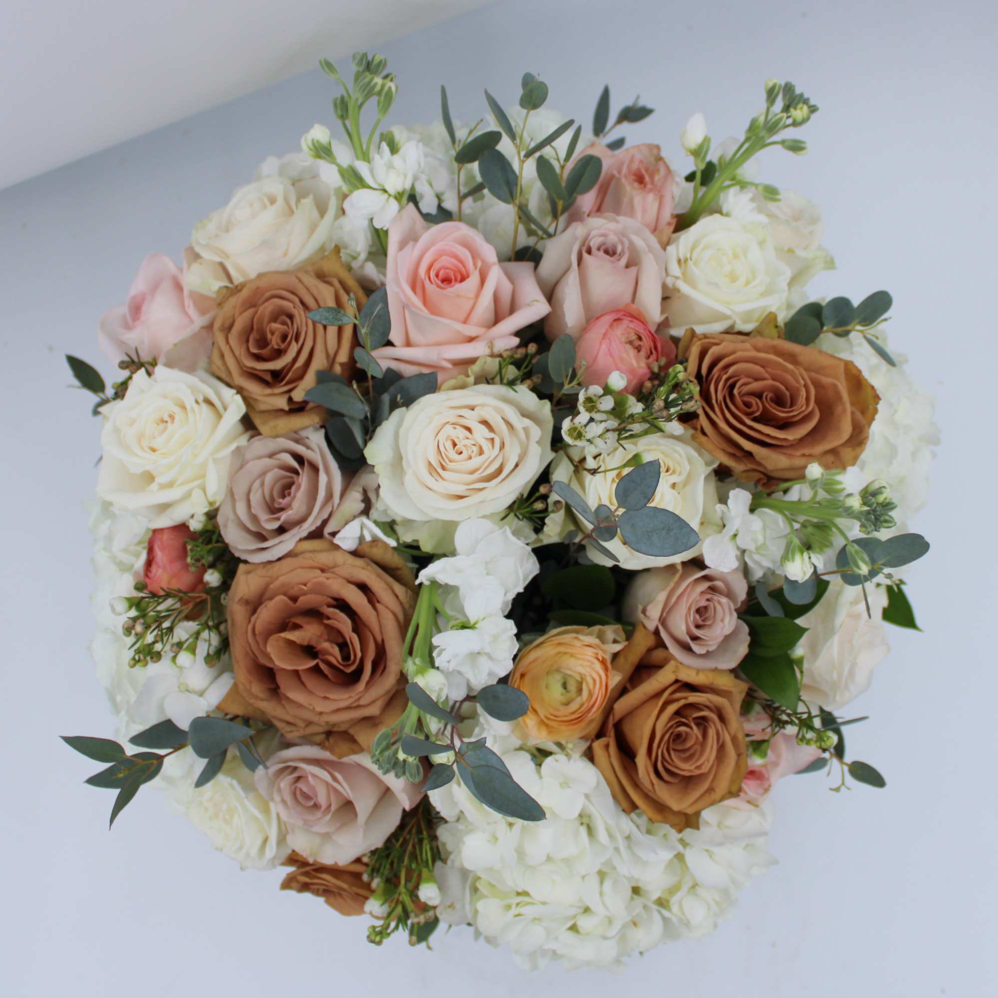 Alba is where the Italian Truffle Festival takes place in the Fall