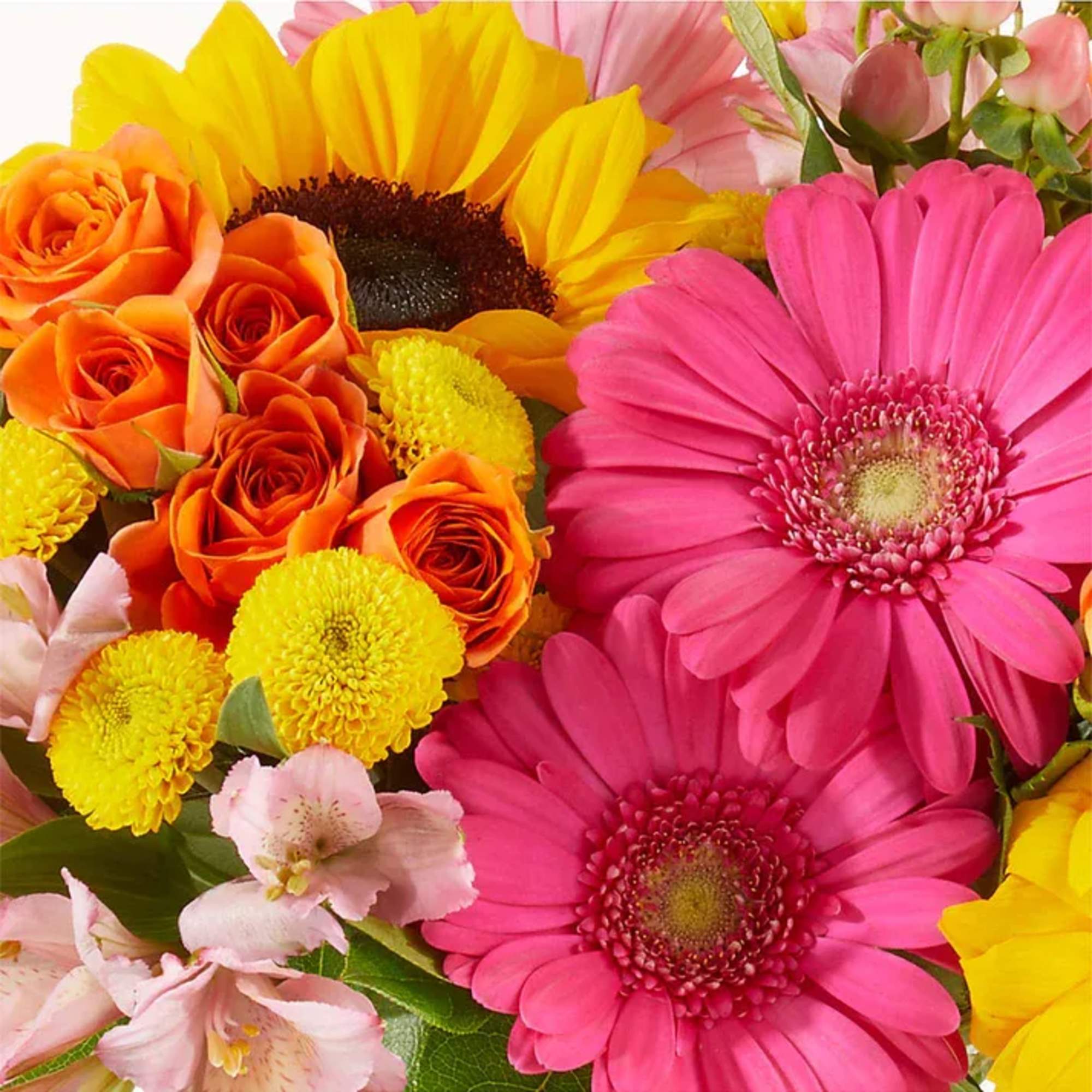 Not sure what will delight them? Let our talented designers express their