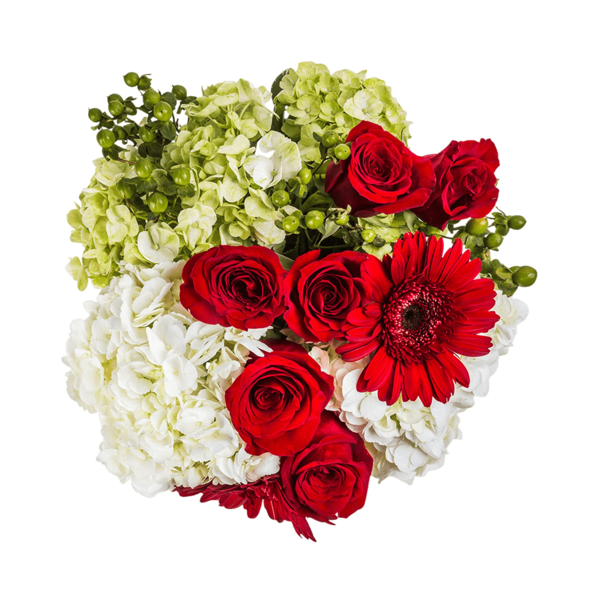 Dreams are fleeting. We spend one third of our lives in dreamland