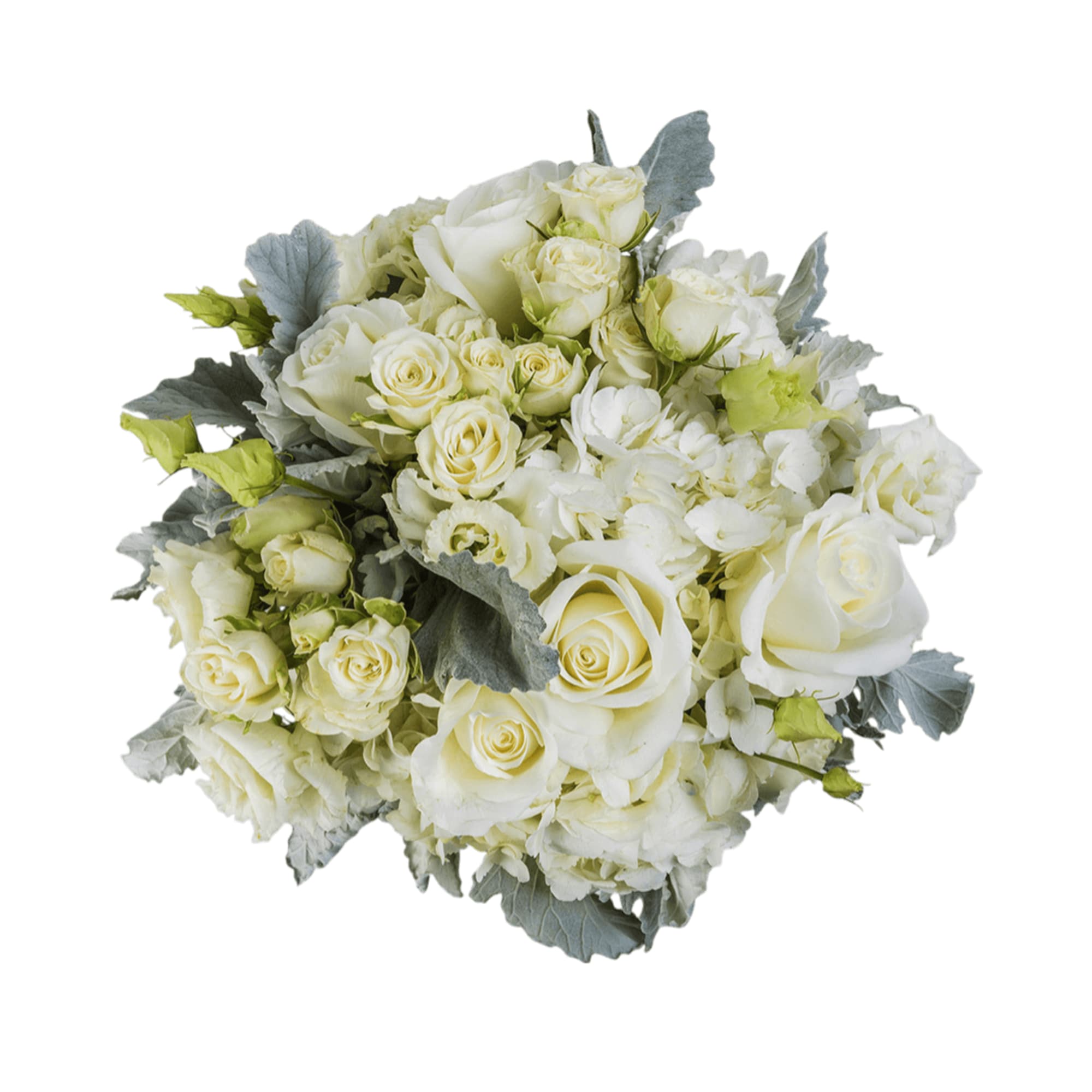 Do you know someone who’s hard to impress? Of course you do. Do you know someone who’s hard to impress? Of course you do.