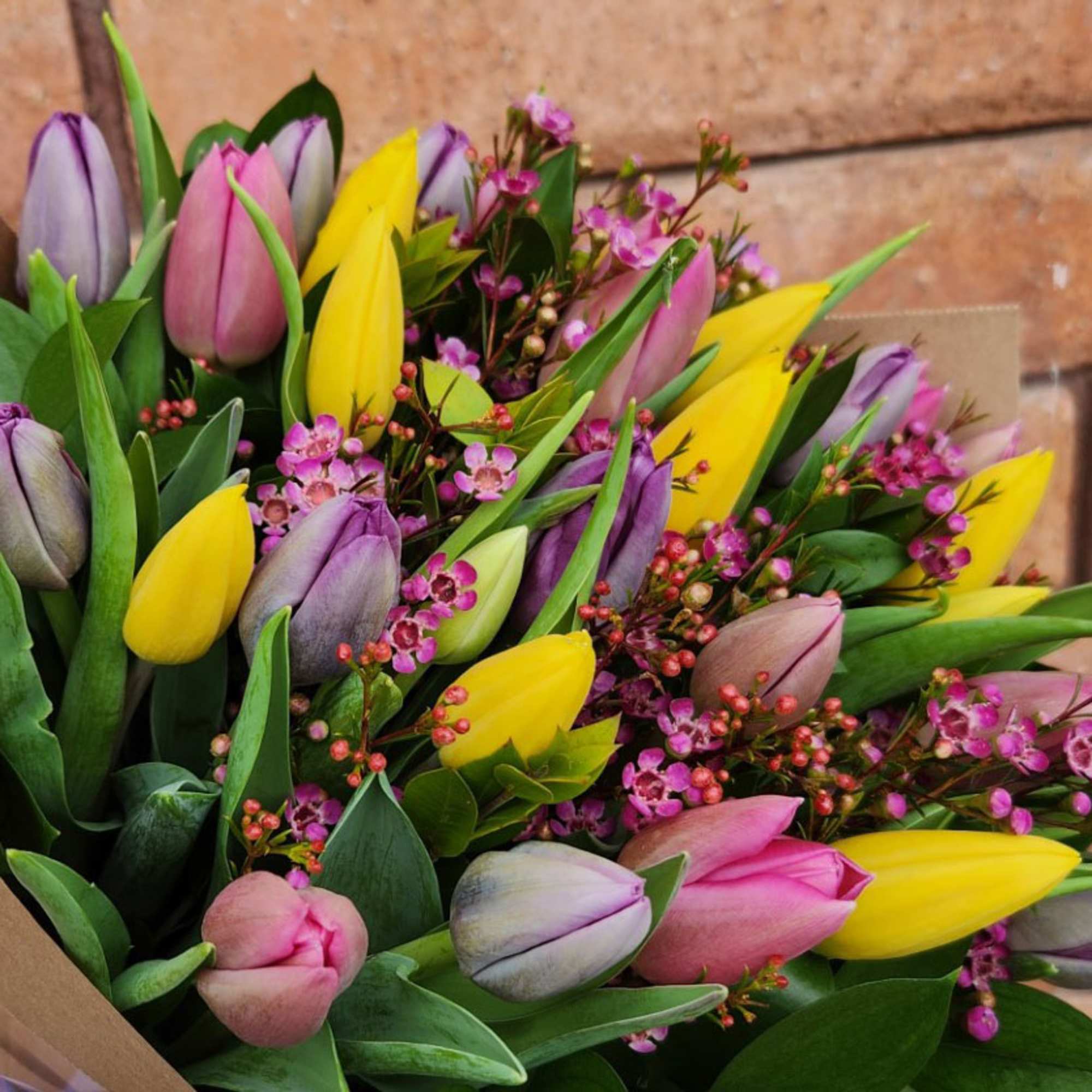 Buy Fresh Tulips in San Diego &ndash; Hand-Tied Dutch Tulip Bouquets (Pickup
