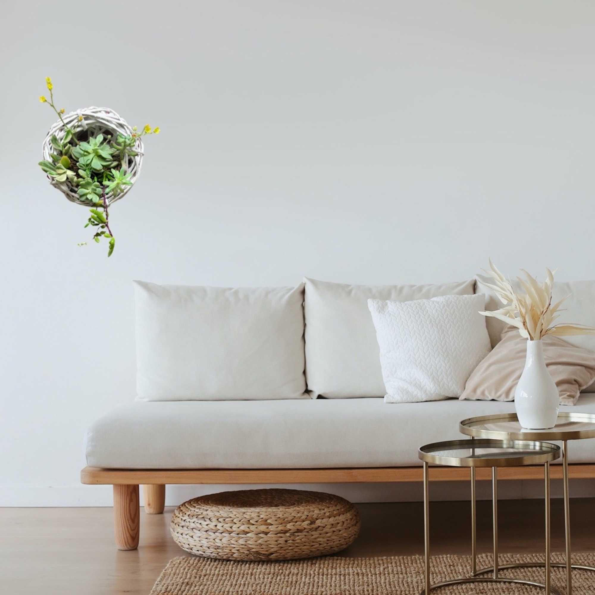 A variety of succulents in a white wicker nest to hang on