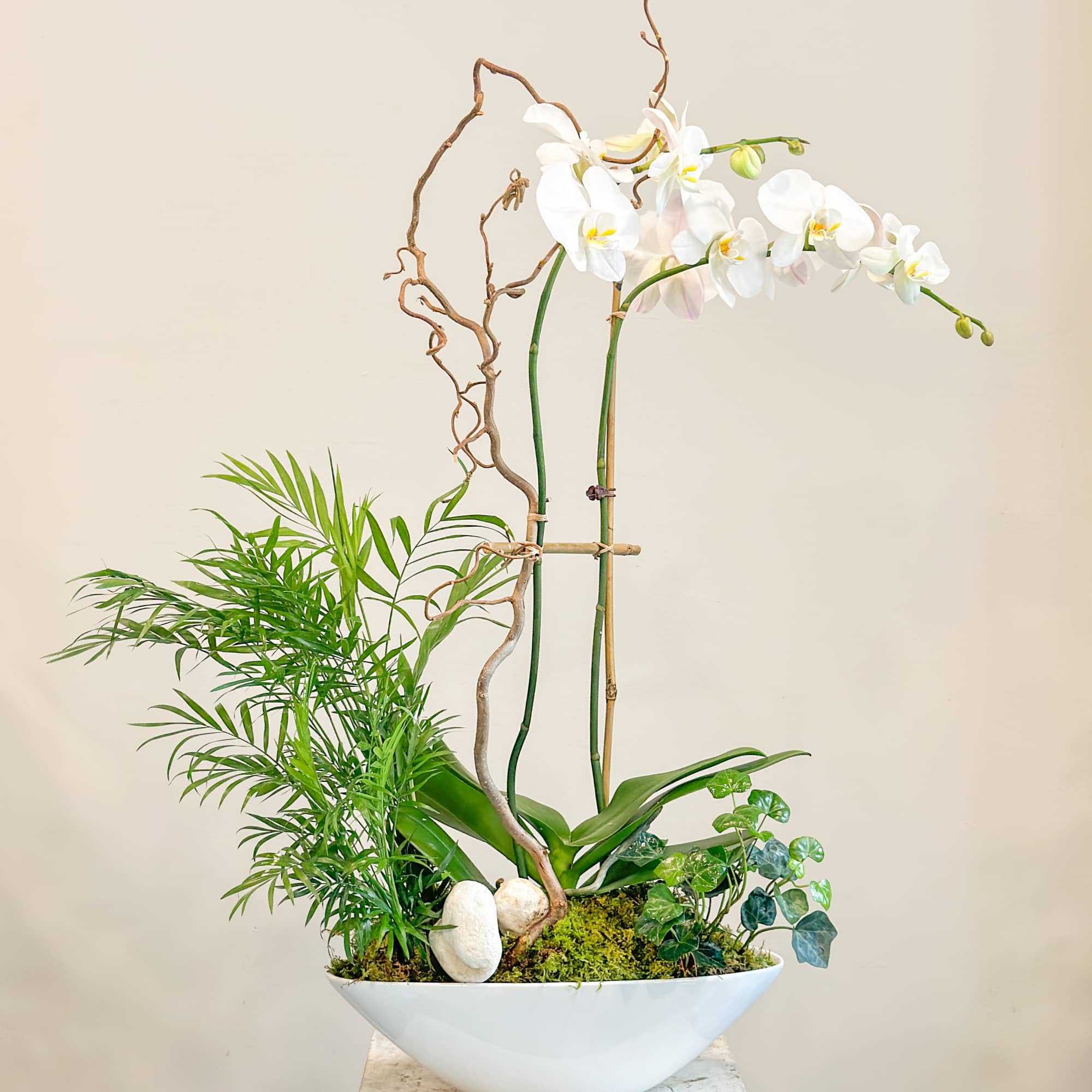 Arrangement of flowering orchids in garden style with palm plants and ivy.