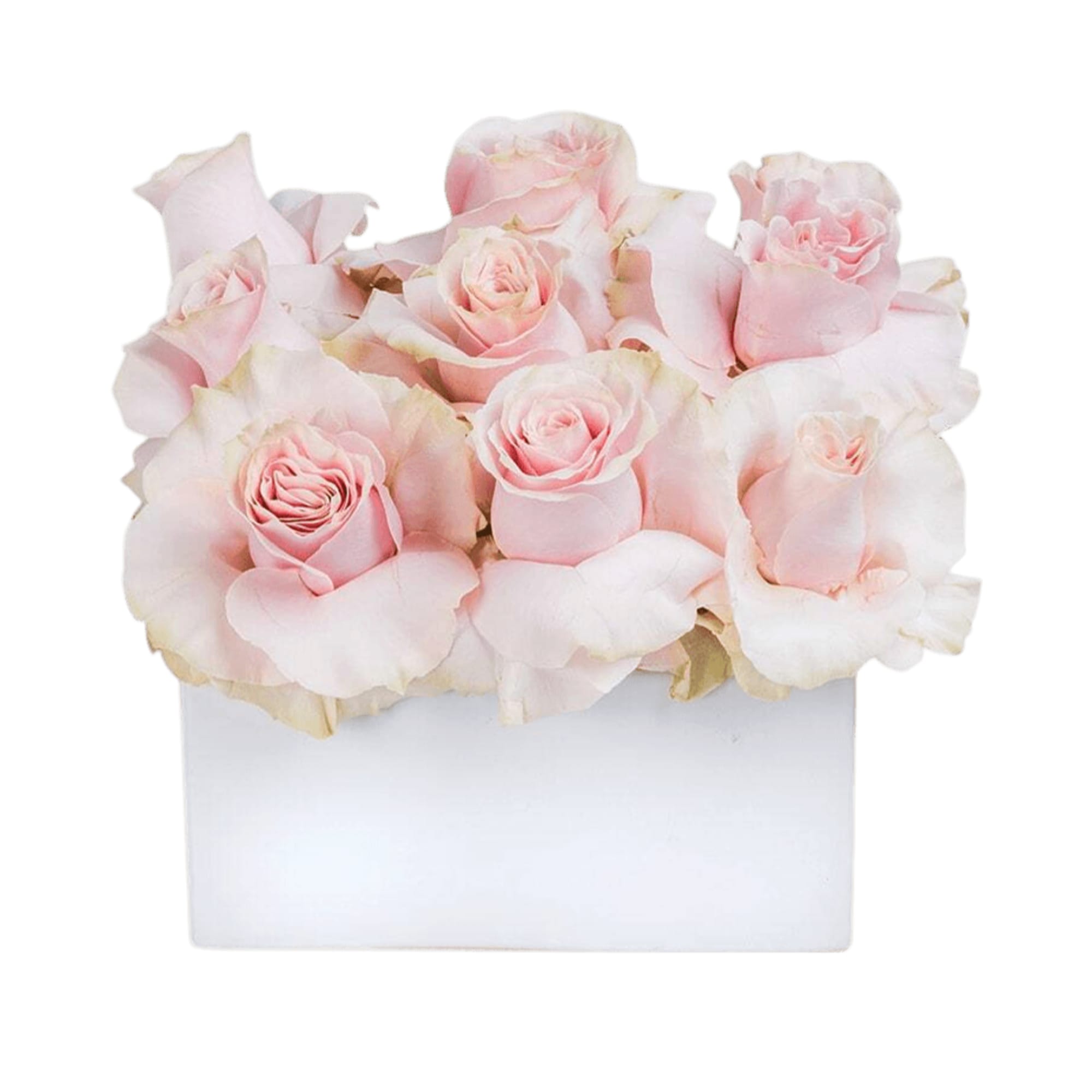 Some people dream of achieving fame and fortune in their lifetimes. Some