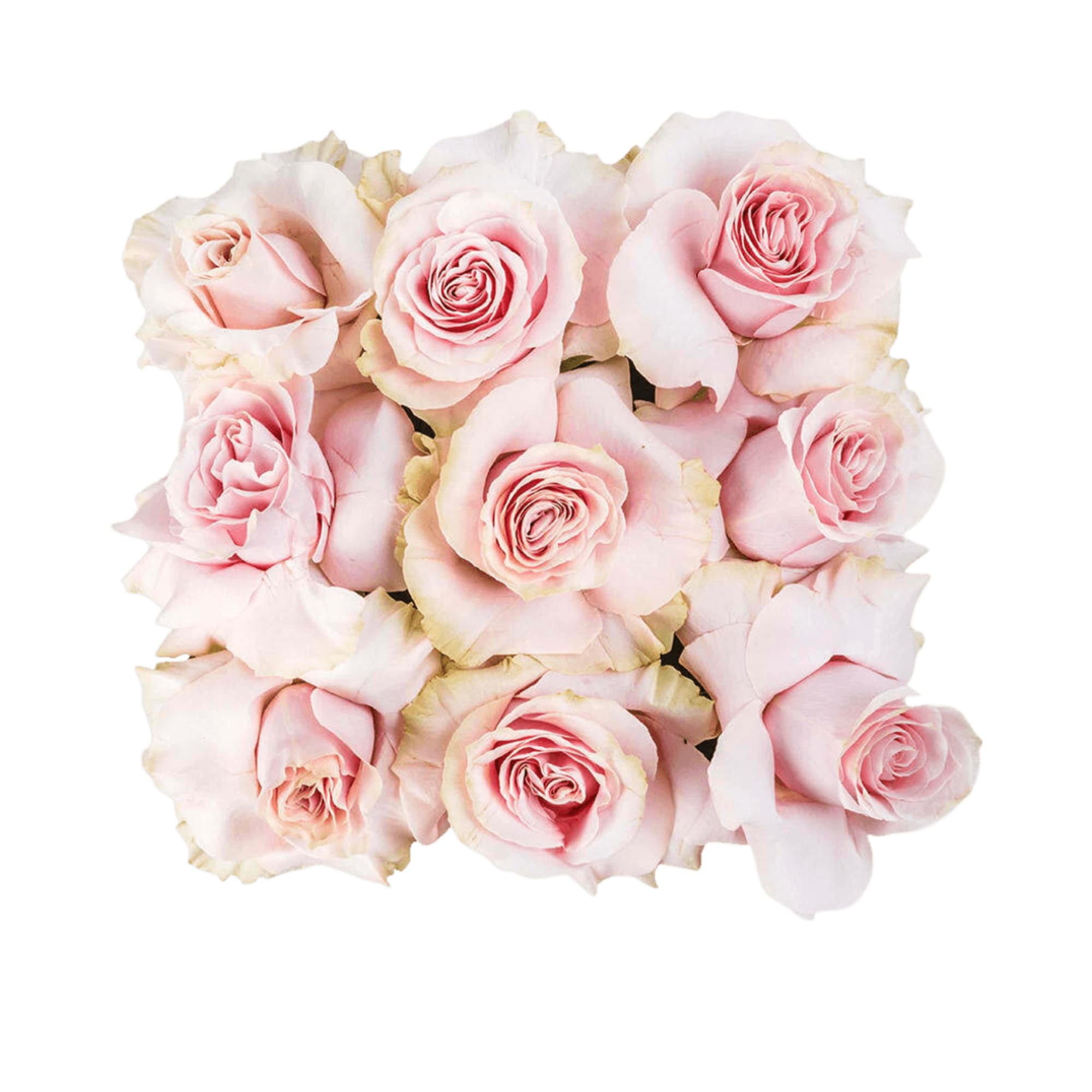 Some people dream of achieving fame and fortune in their lifetimes. Some