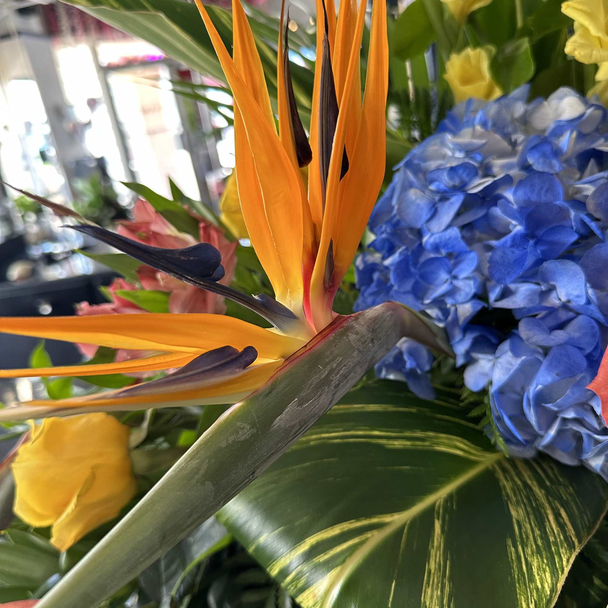 Breathtaking exotic design!
Size cca. 60x18x28&ldquo;