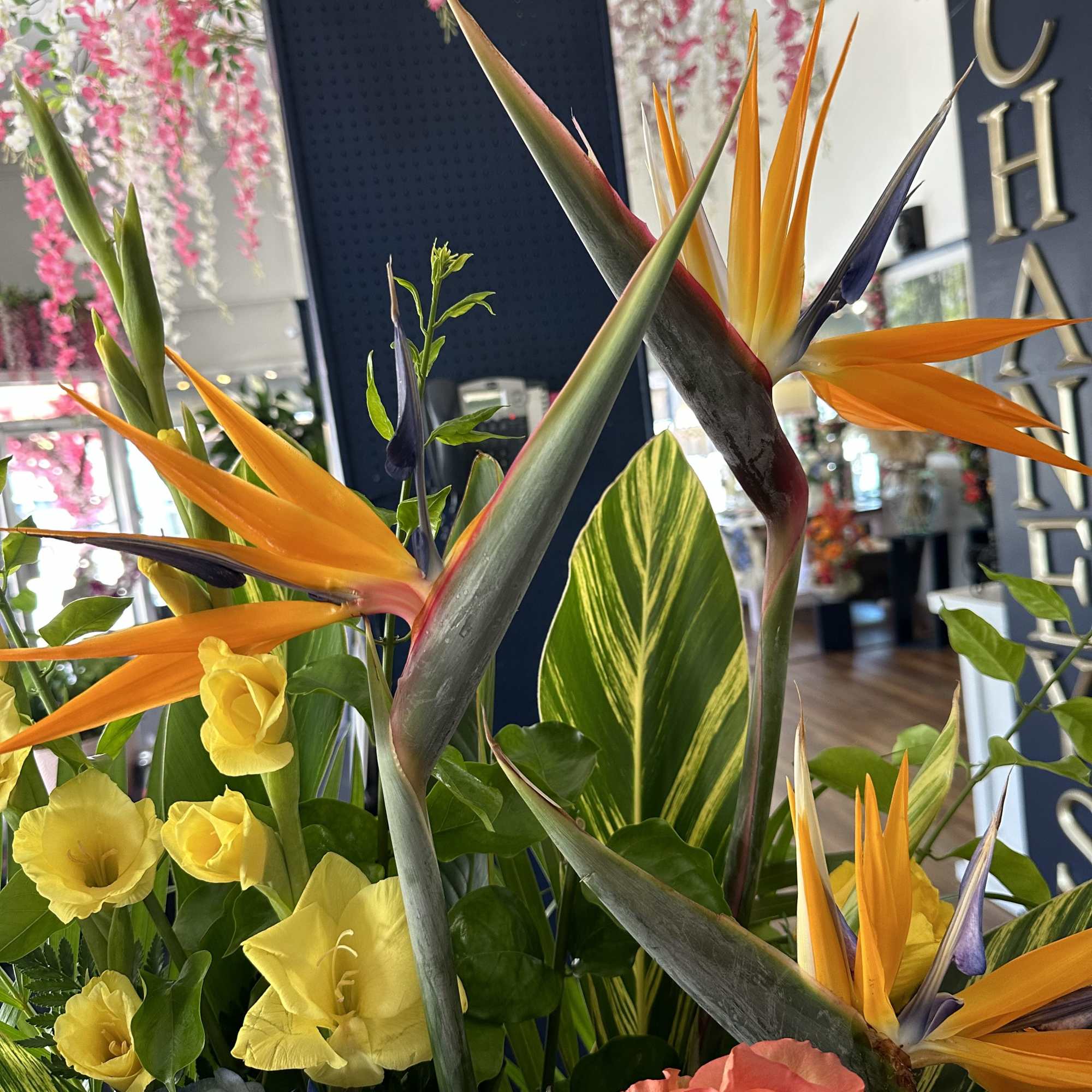 Breathtaking exotic design!
Size cca. 60x18x28&ldquo;