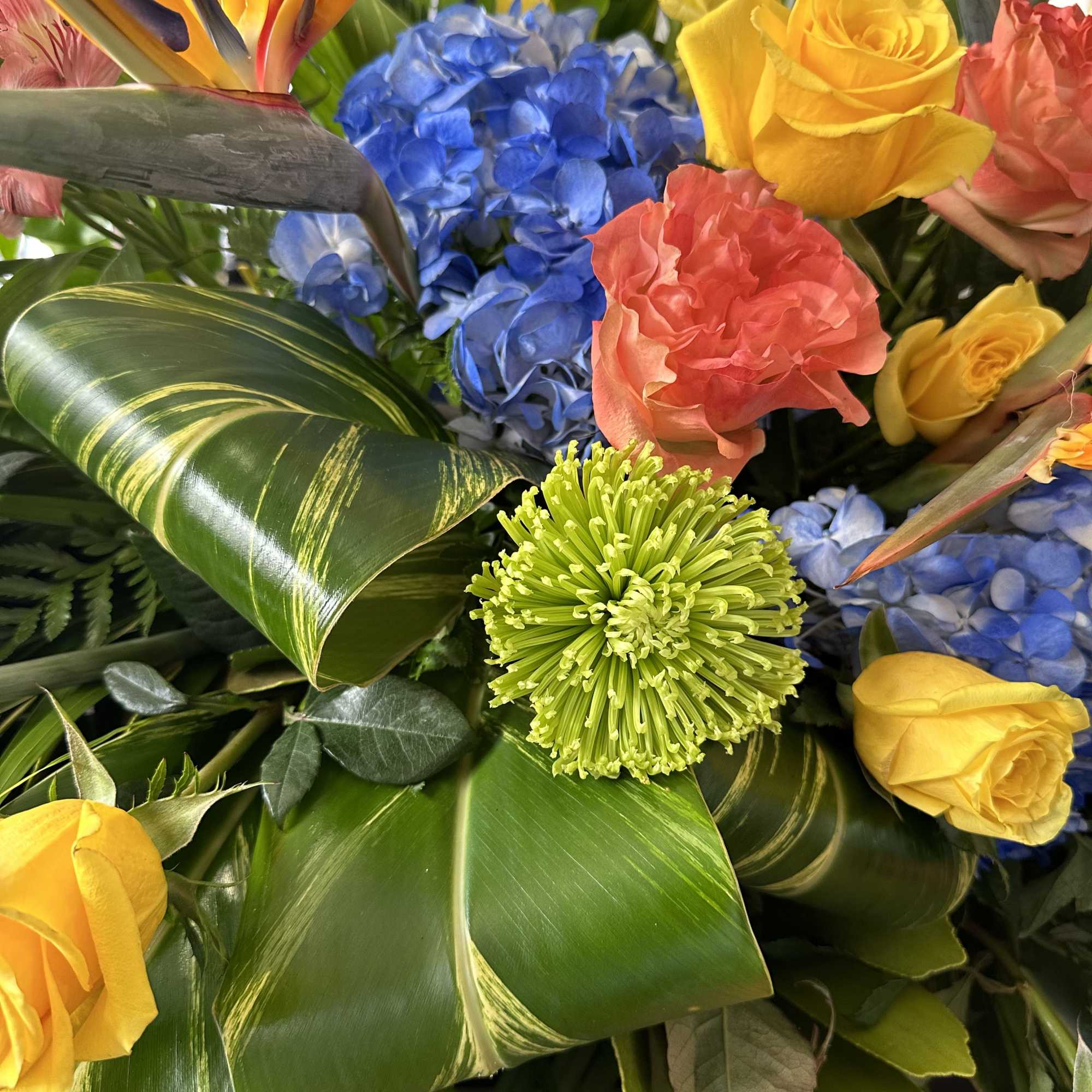 Breathtaking exotic design!
Size cca. 60x18x28&ldquo;