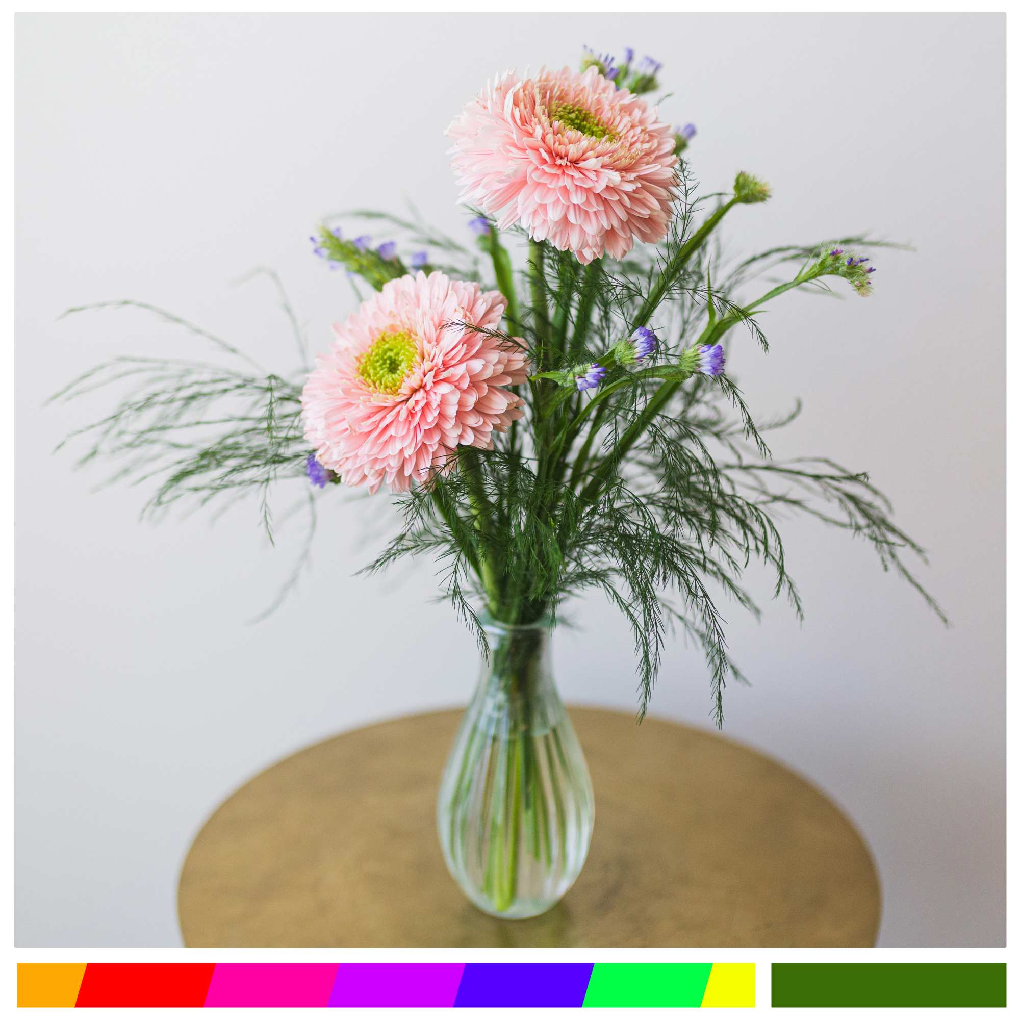 A lovely little bud vase with Gerbera daisies, accent flowers and greens. A lovely little bud vase with Gerbera daisies, accent flowers and greens.