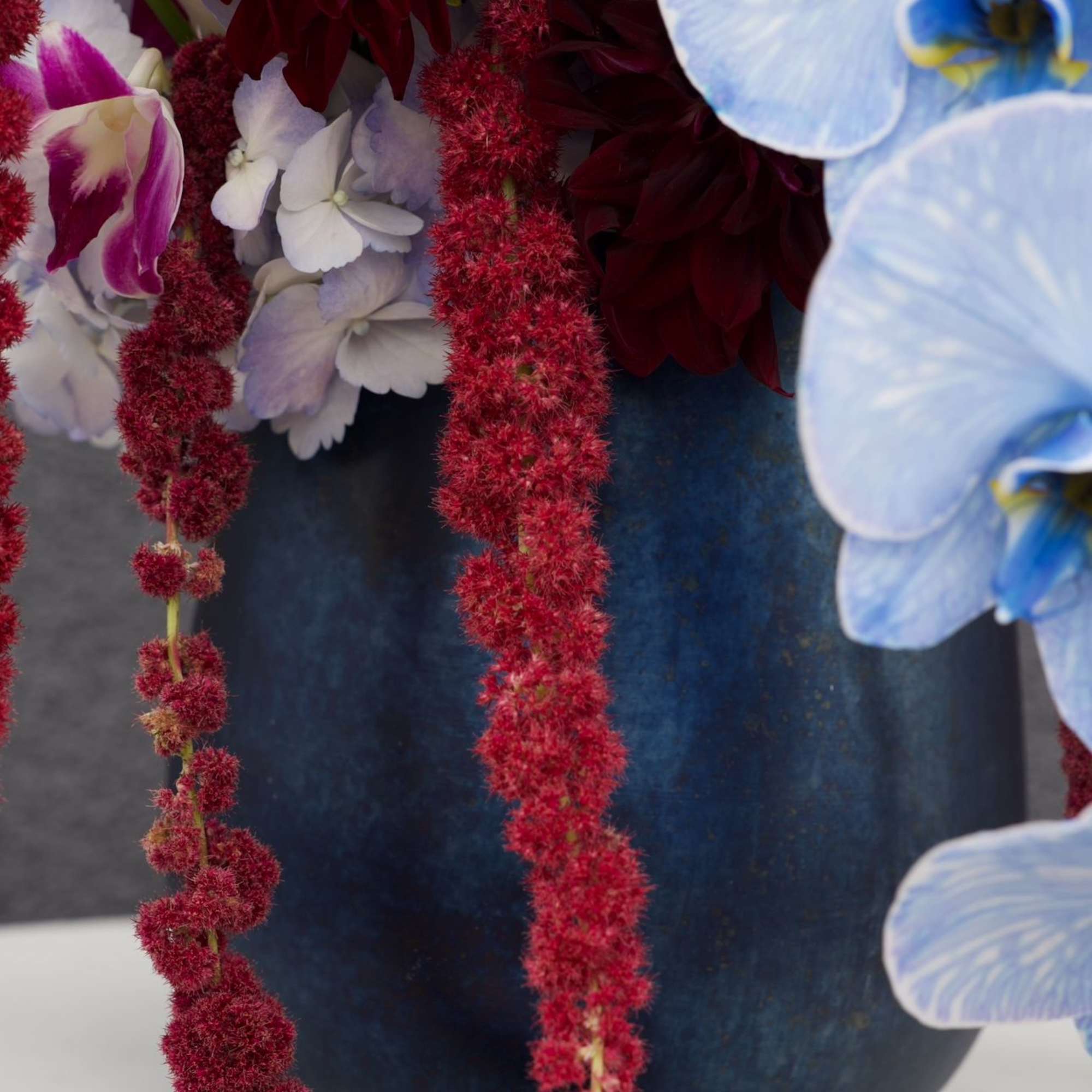 A bold and artful floral arrangement blending deep burgundy dahlias, electric blue