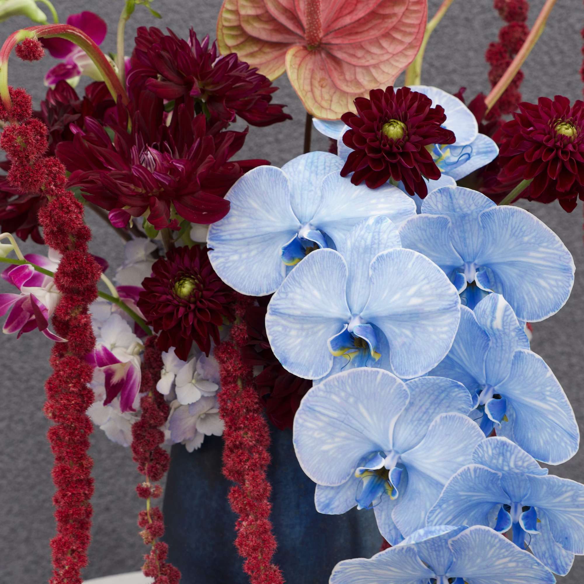 A bold and artful floral arrangement blending deep burgundy dahlias, electric blue