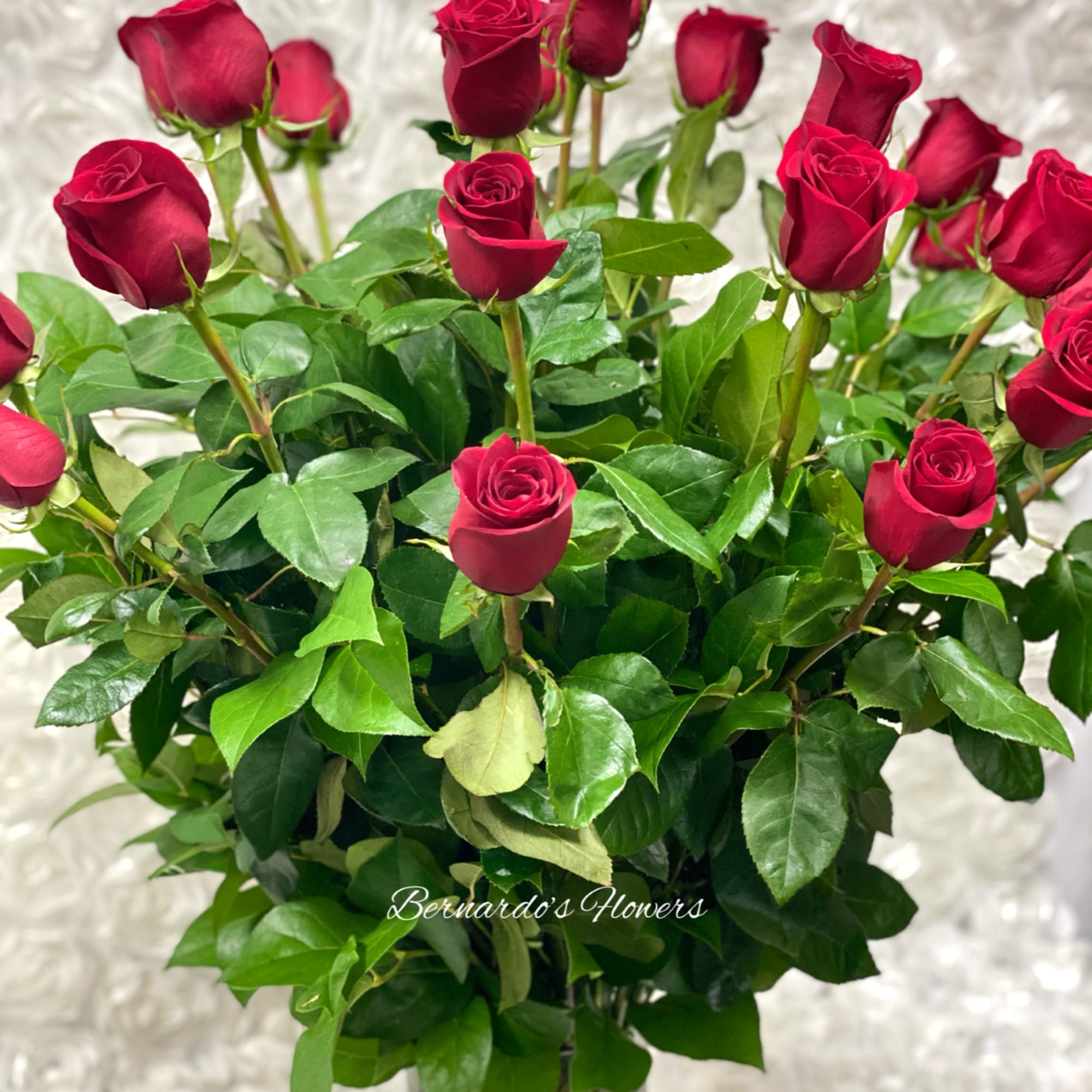 2 Dz. Premium Red Roses in a Tall Cylinder Glass Vase
Style: Round