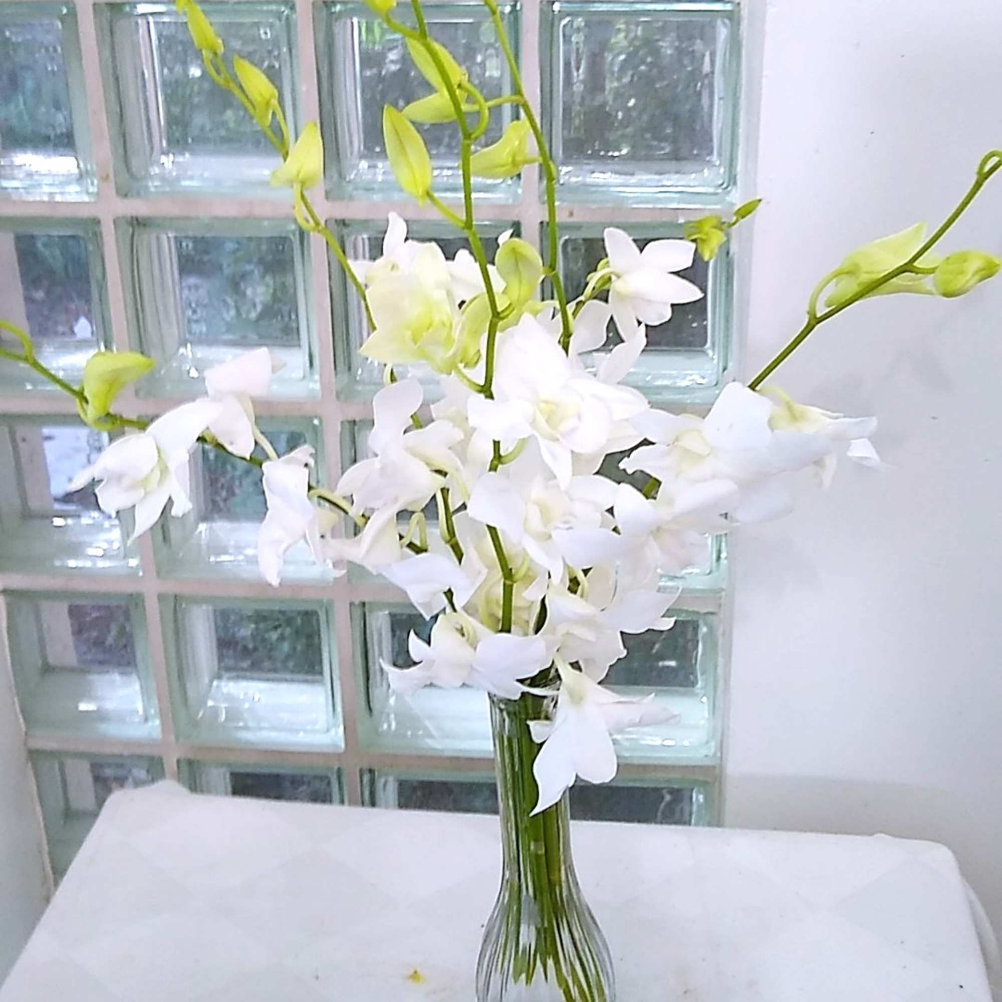 An ocean of white orchids in a glass vase. You&#039;ll swim in