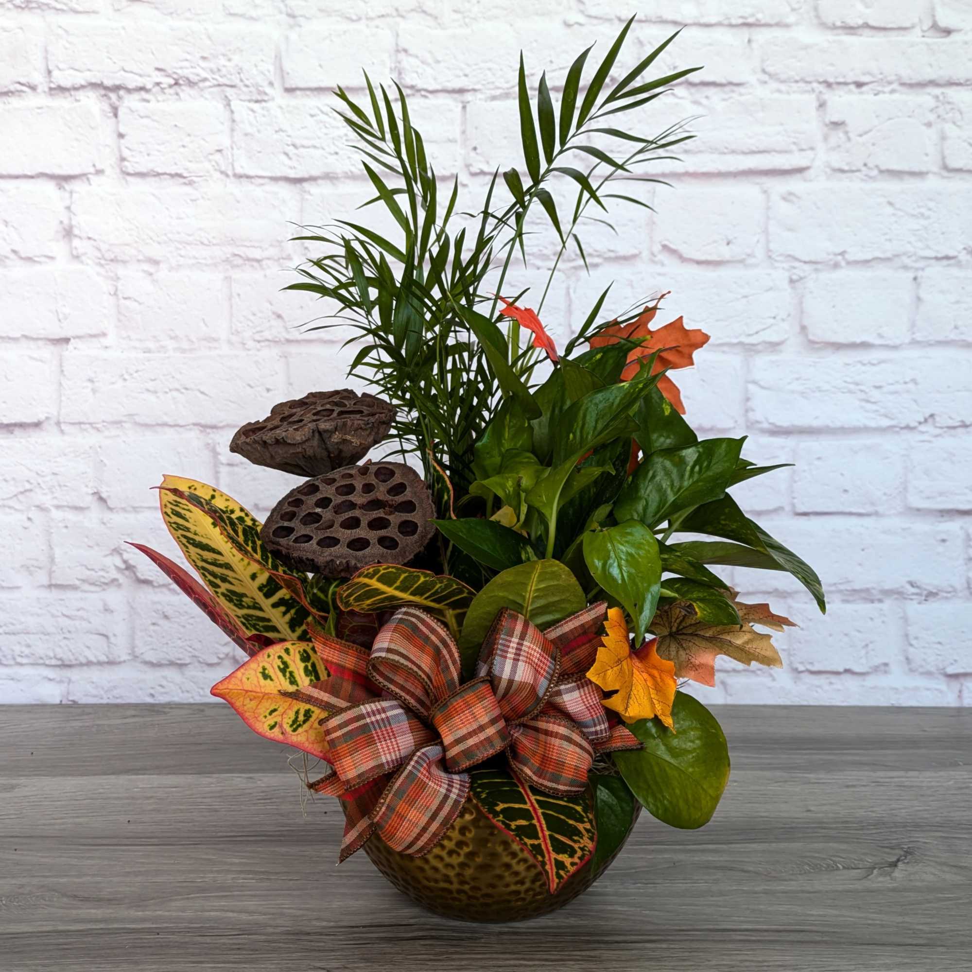 Bring the fall season home with a colorful potted dishgarden. Potted in