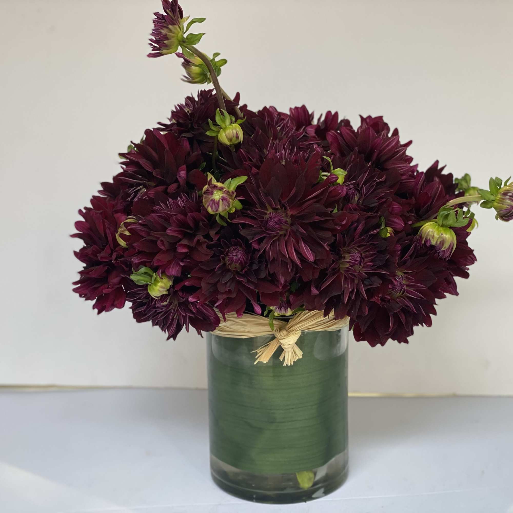 Award - Winning Dahlia 'Nuit d' Ete' is a devilishly dark burgundy Award - Winning Dahlia 'Nuit d' Ete' is a devilishly dark burgundy