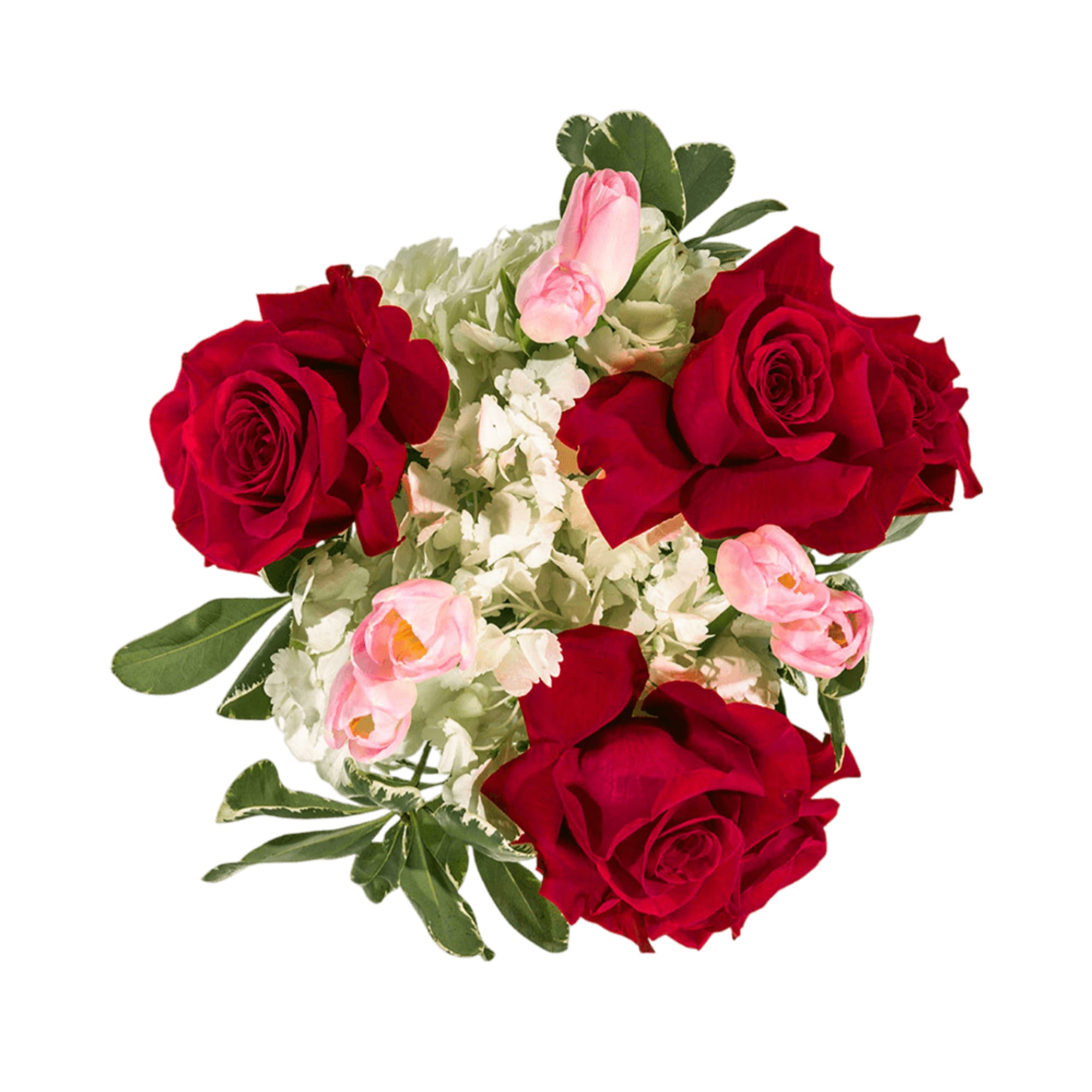 Blossoming Romance is the perfect gift to wish someone a happy birthday