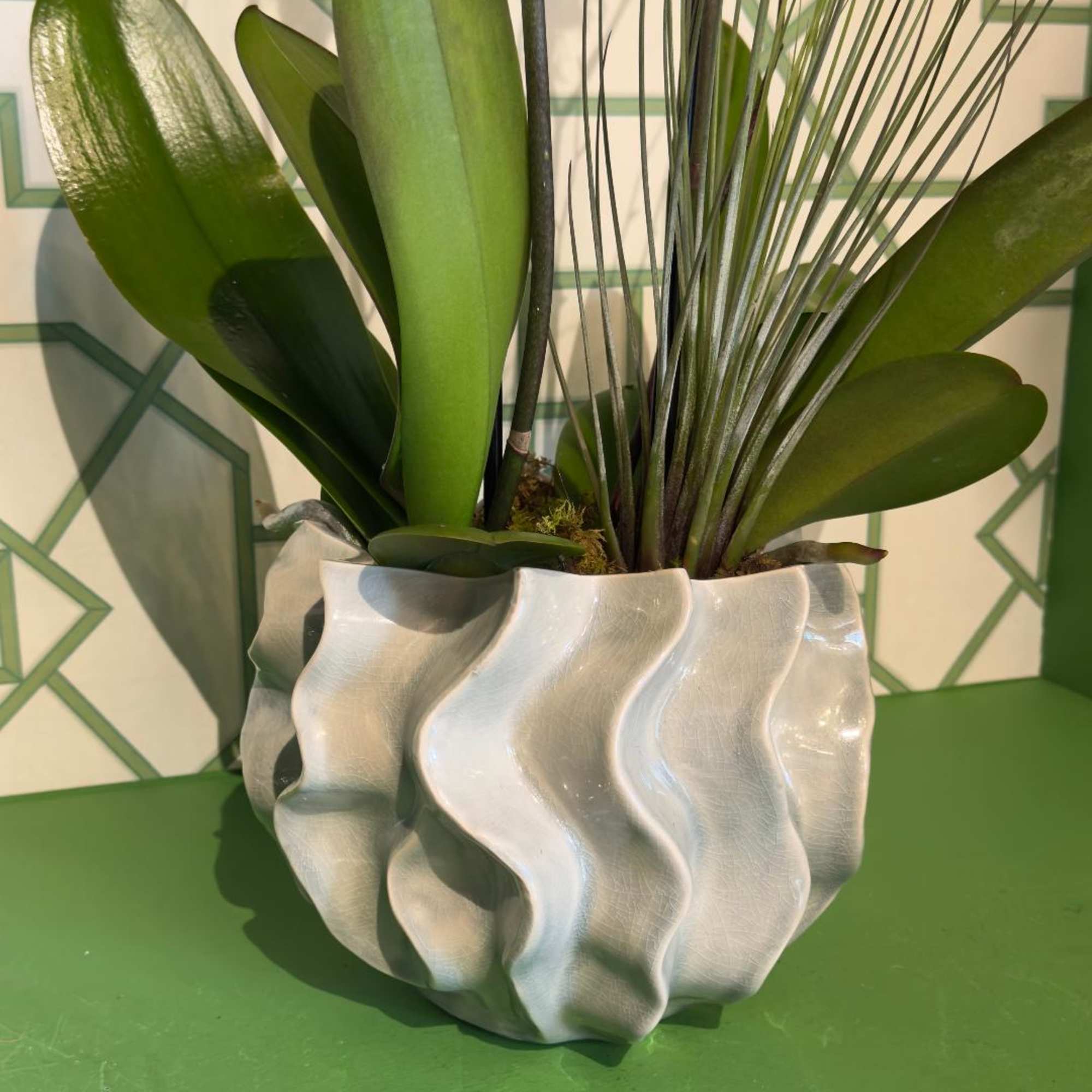 An elegant ceramic container with two beautiful phalaenopsis orchid plants; decorated with