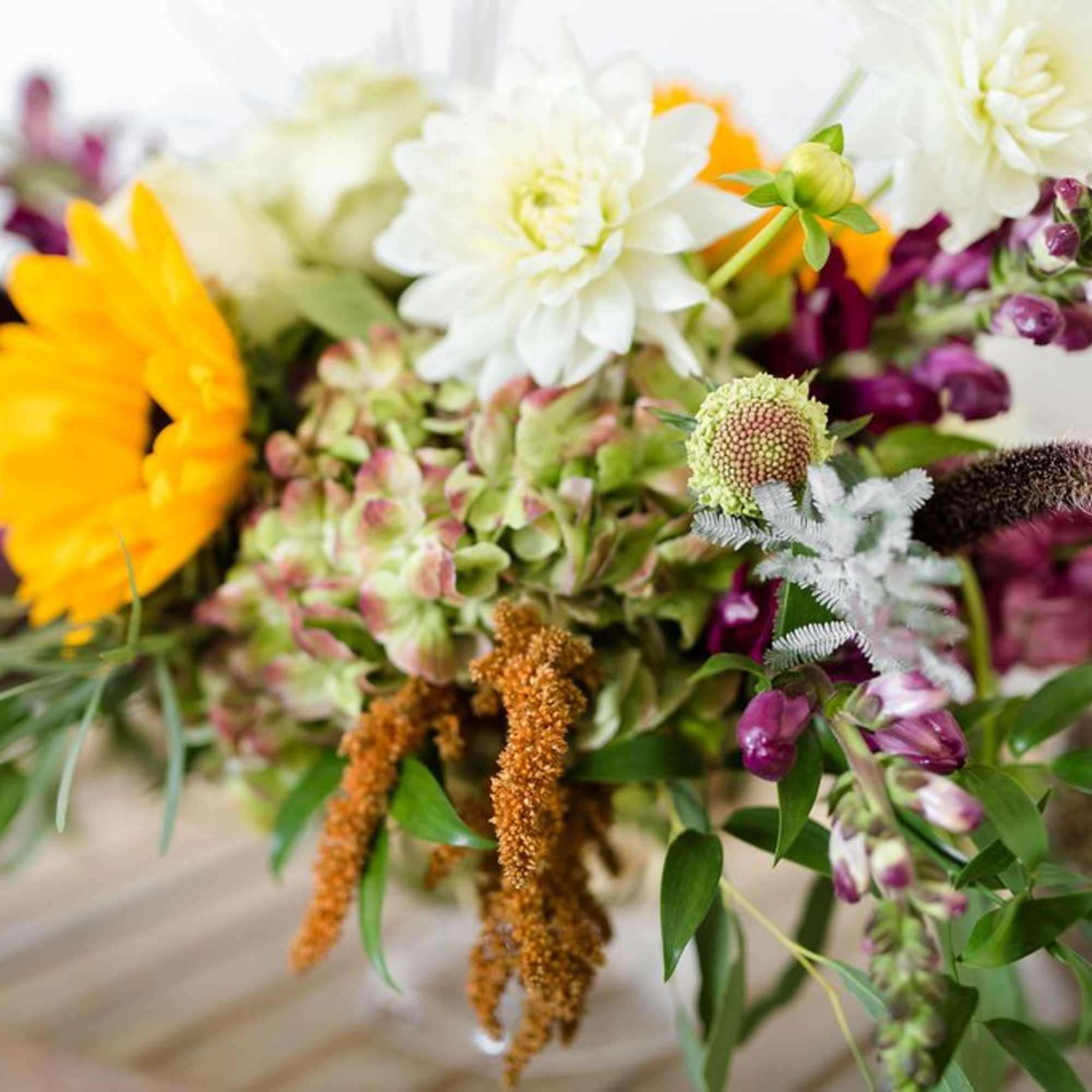 This will be the star of the show at your thanksgiving lunch