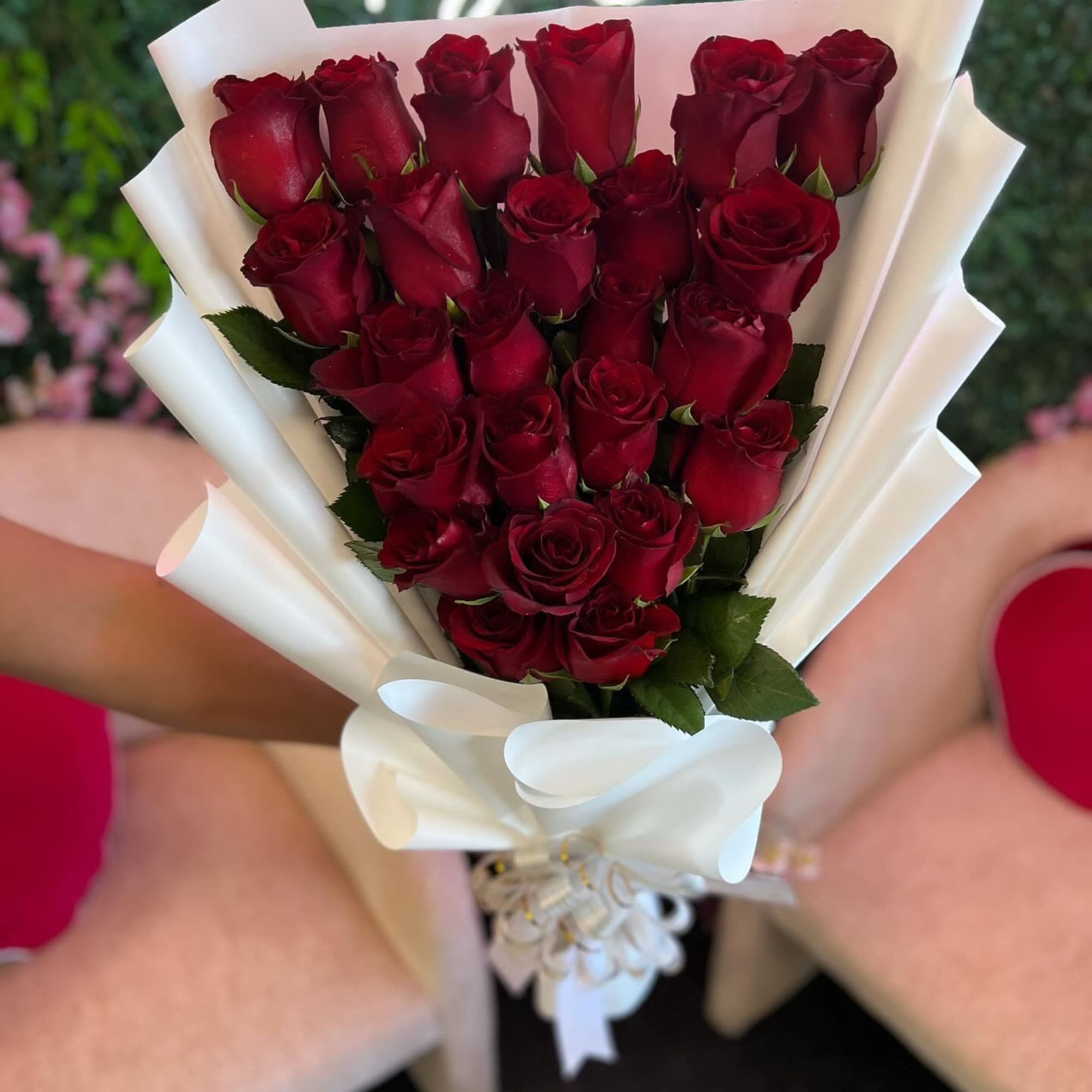 This is a stunning presentation of deep red roses, symbolizing passion and
