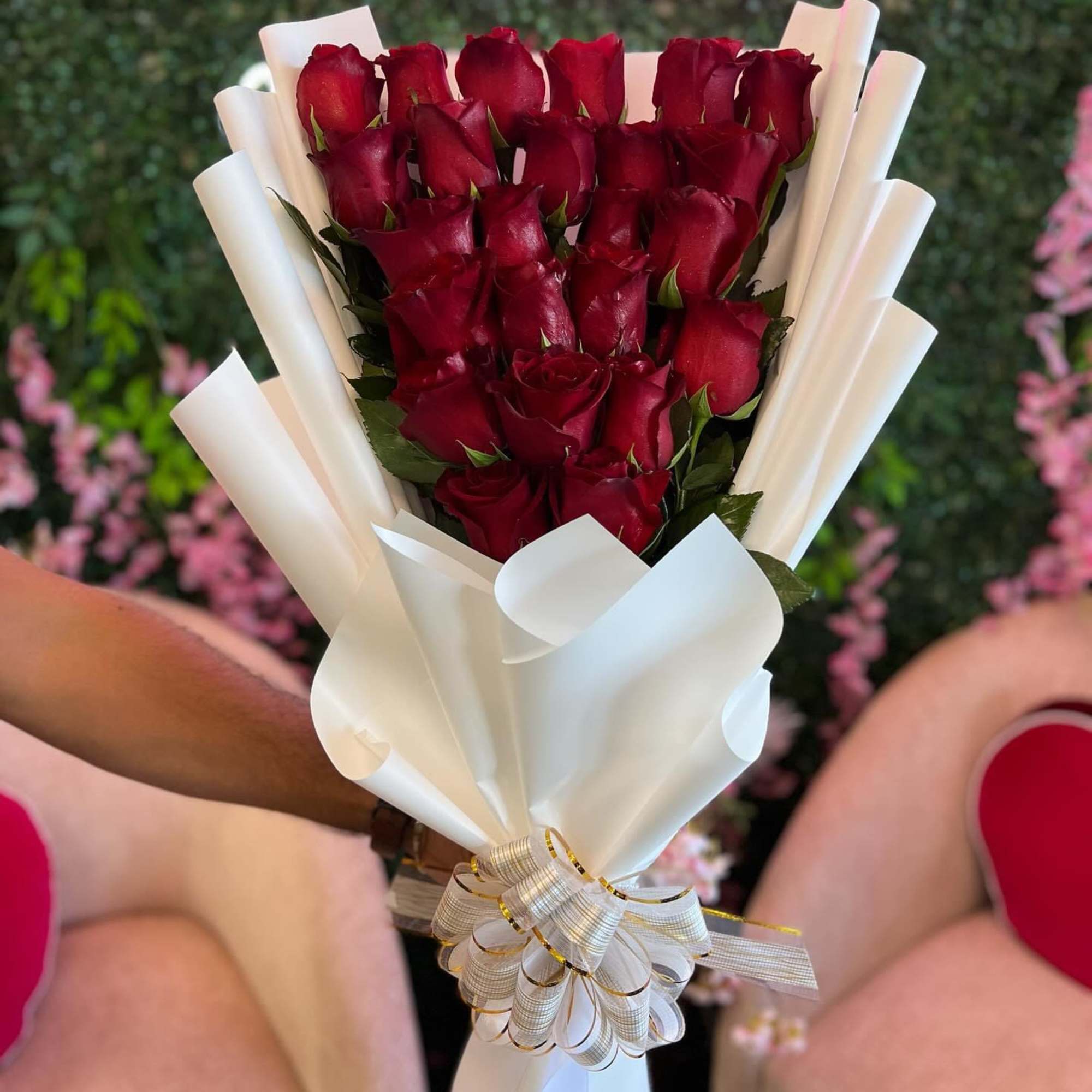 This is a stunning presentation of deep red roses, symbolizing passion and