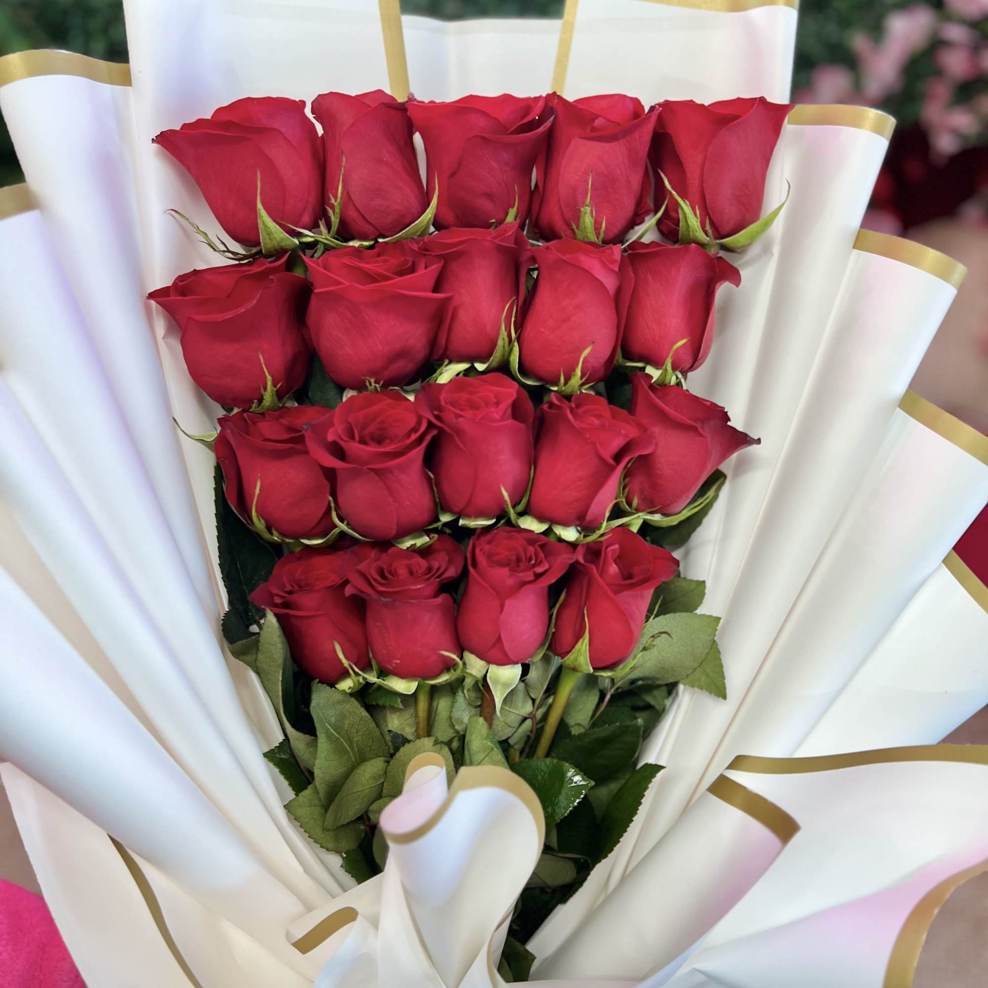 This is a stunning presentation of deep red roses, symbolizing passion and