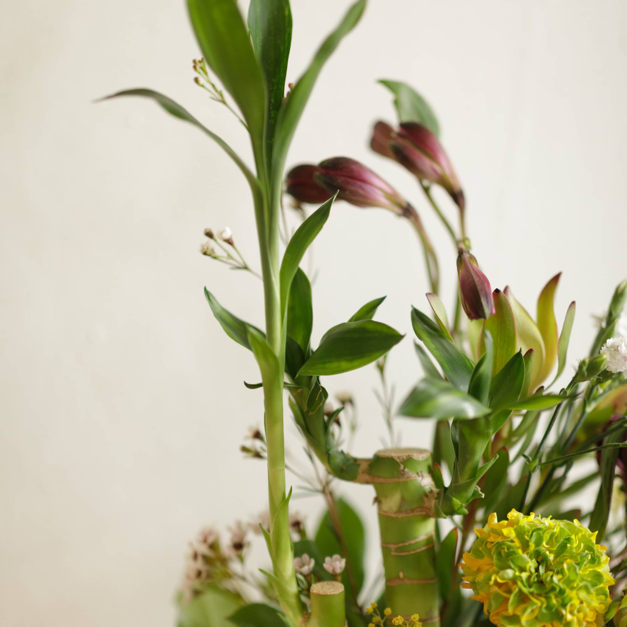 The Sutter is our petite-sized modern arrangement created in a ceramic vase. The Sutter is our petite-sized modern arrangement created in a ceramic vase.